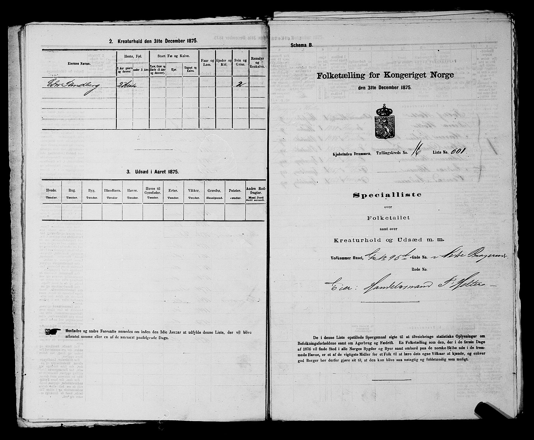 SAKO, 1875 census for 0602 Drammen, 1875, p. 1779