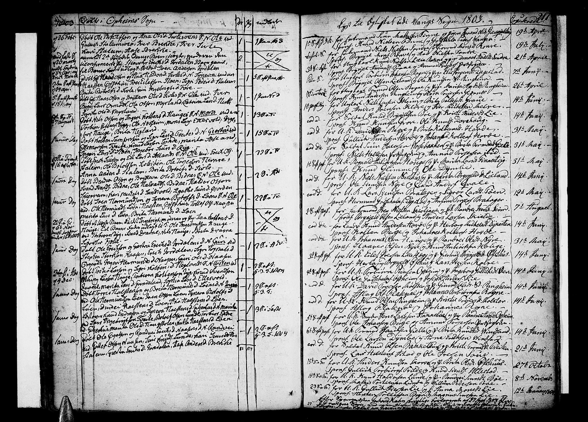 Voss sokneprestembete, AV/SAB-A-79001/H/Haa: Parish register (official) no. A 9, 1780-1810, p. 217