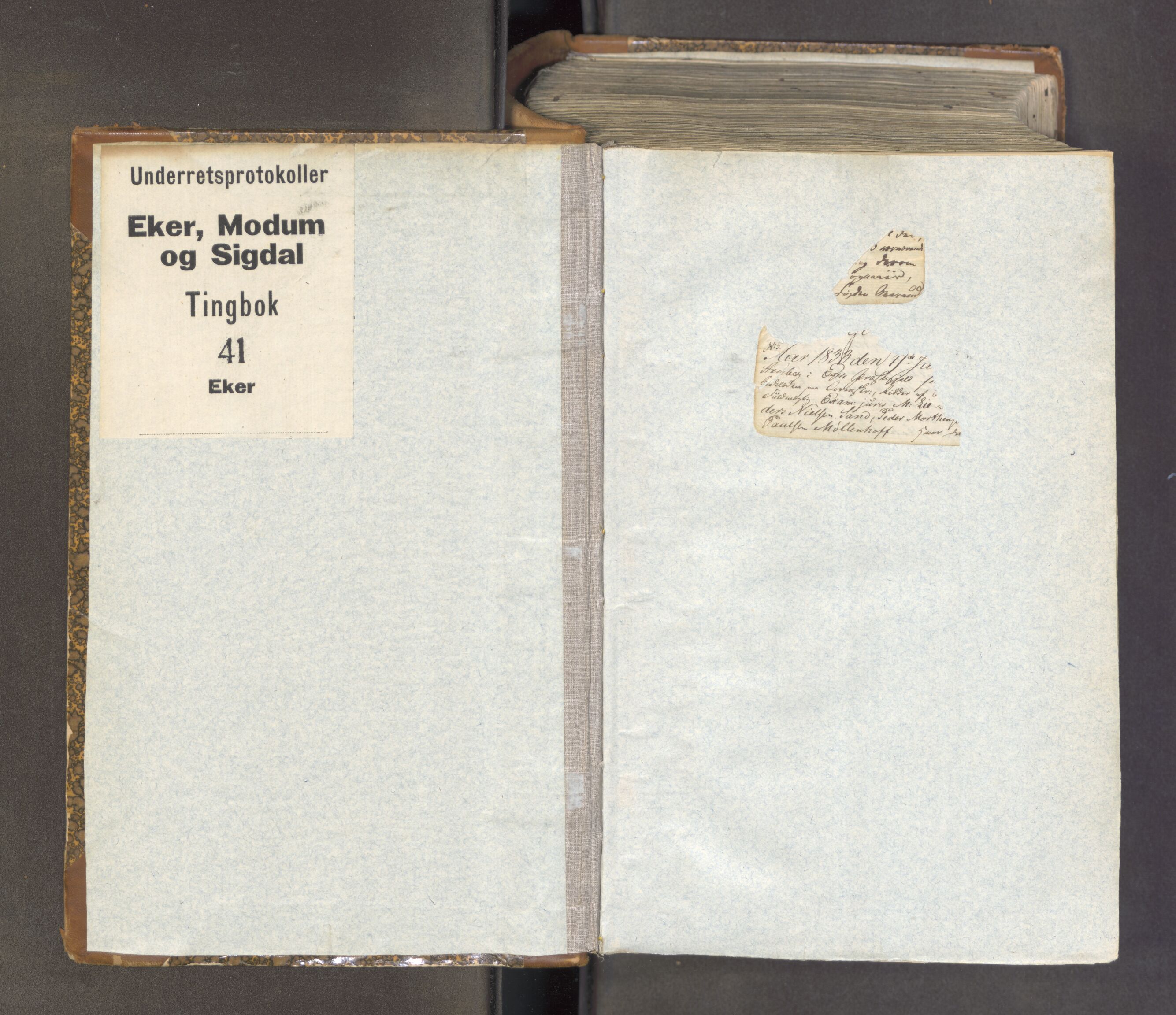 Eiker, Modum og Sigdal sorenskriveri, AV/SAKO-A-123/F/Fa/Fab/L0019: Tingbok, 1831-1835