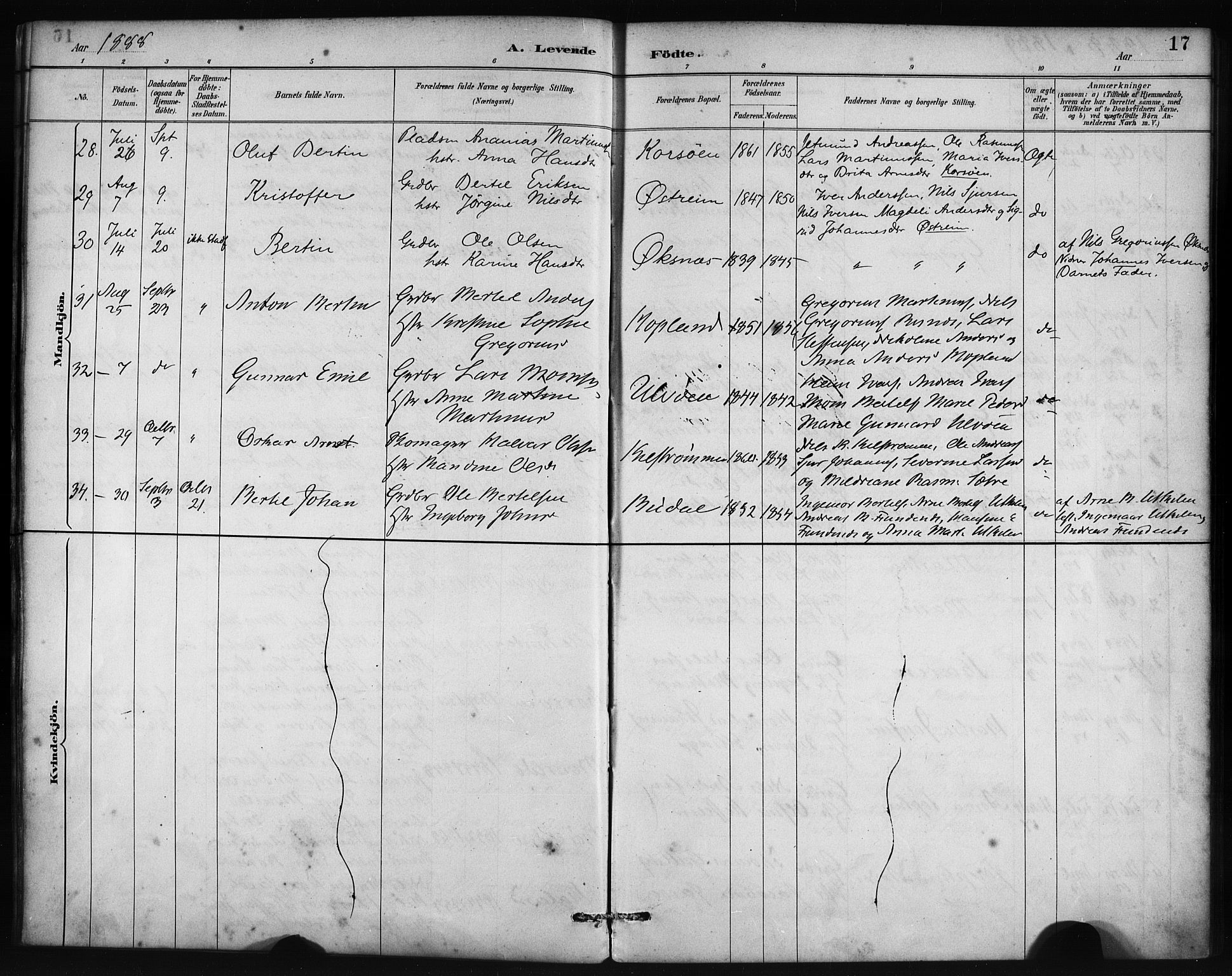 Lindås Sokneprestembete, SAB/A-76701/H/Haa: Parish register (official) no. C 1, 1886-1896, p. 17