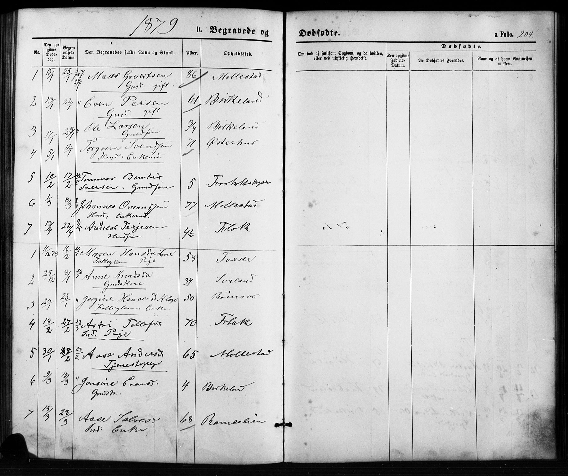 Birkenes sokneprestkontor, SAK/1111-0004/F/Fb/L0003: Parish register (copy) no. B 3, 1876-1892, p. 204