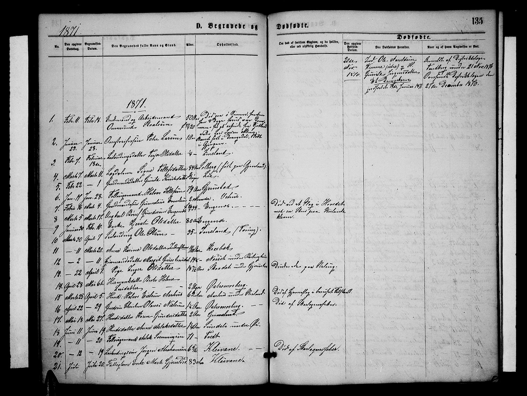 Åmli sokneprestkontor, SAK/1111-0050/F/Fb/Fbc/L0003: Parish register (copy) no. B 3, 1868-1888, p. 135