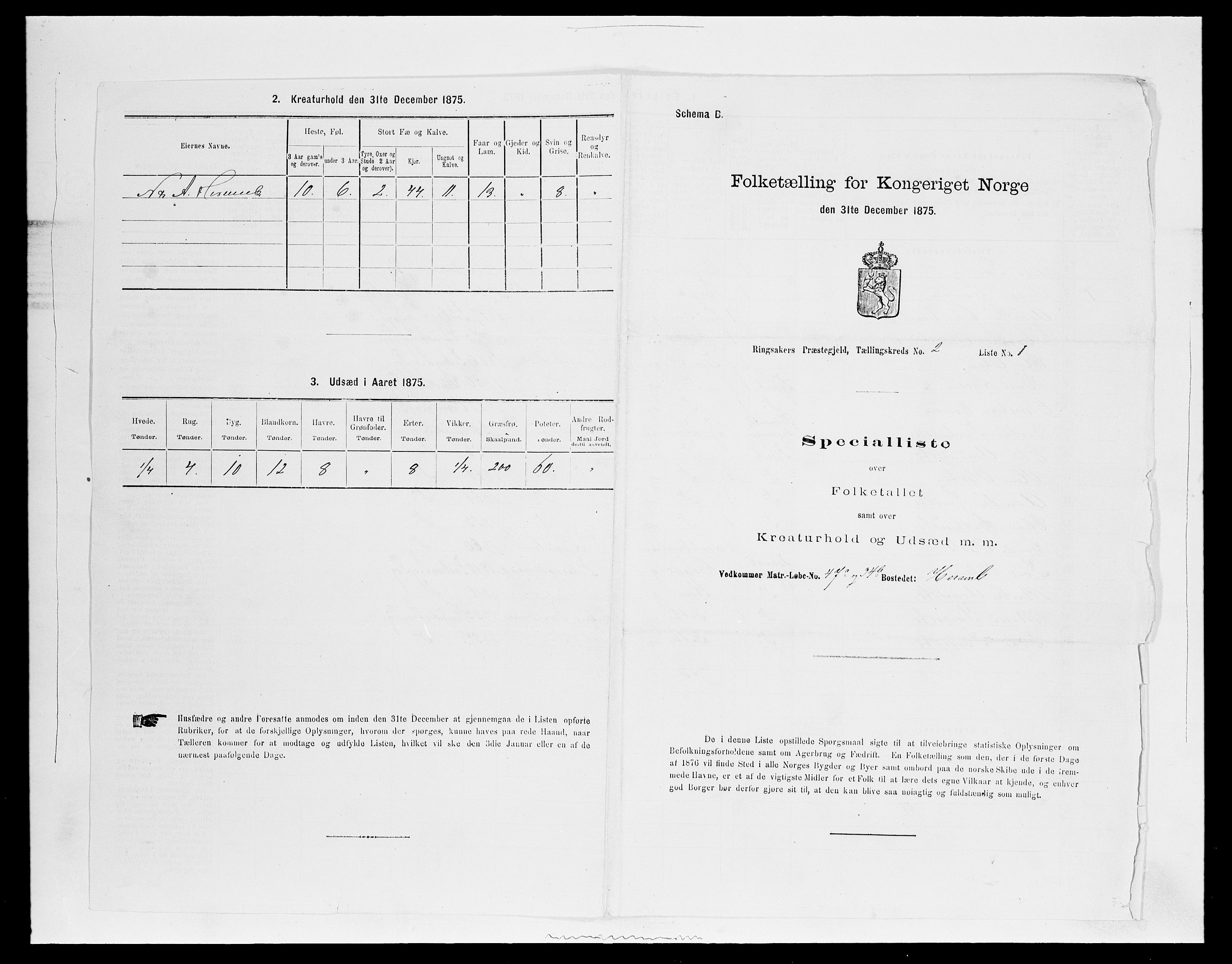 SAH, 1875 census for 0412P Ringsaker, 1875, p. 436