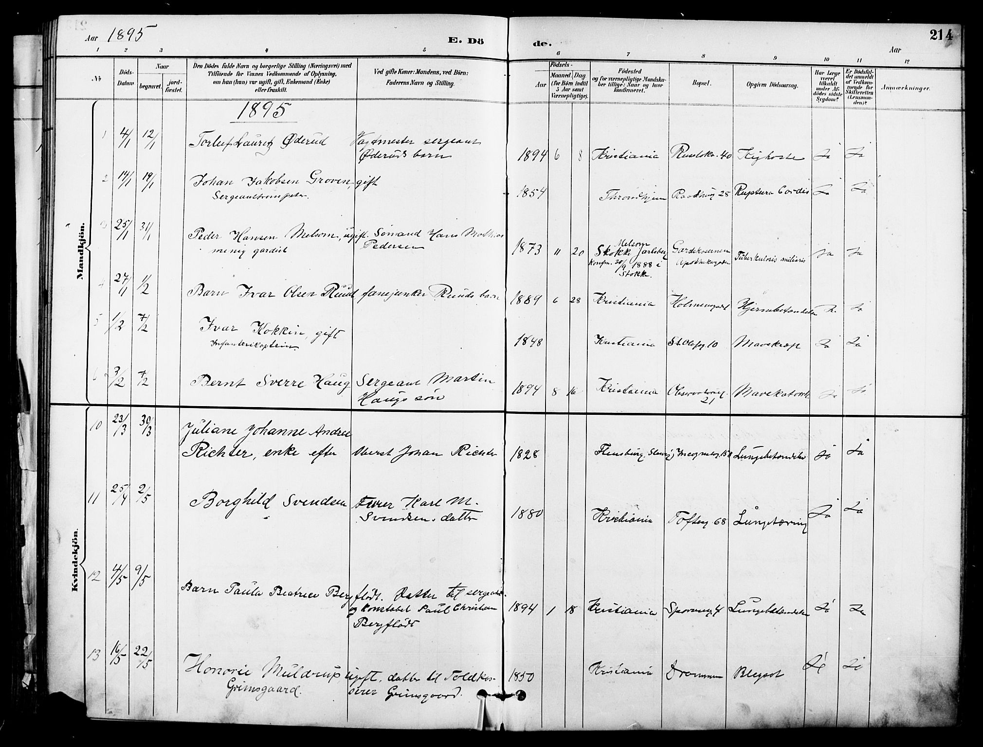 Garnisonsmenigheten Kirkebøker, SAO/A-10846/F/Fa/L0013: Parish register (official) no. 13, 1894-1904, p. 214