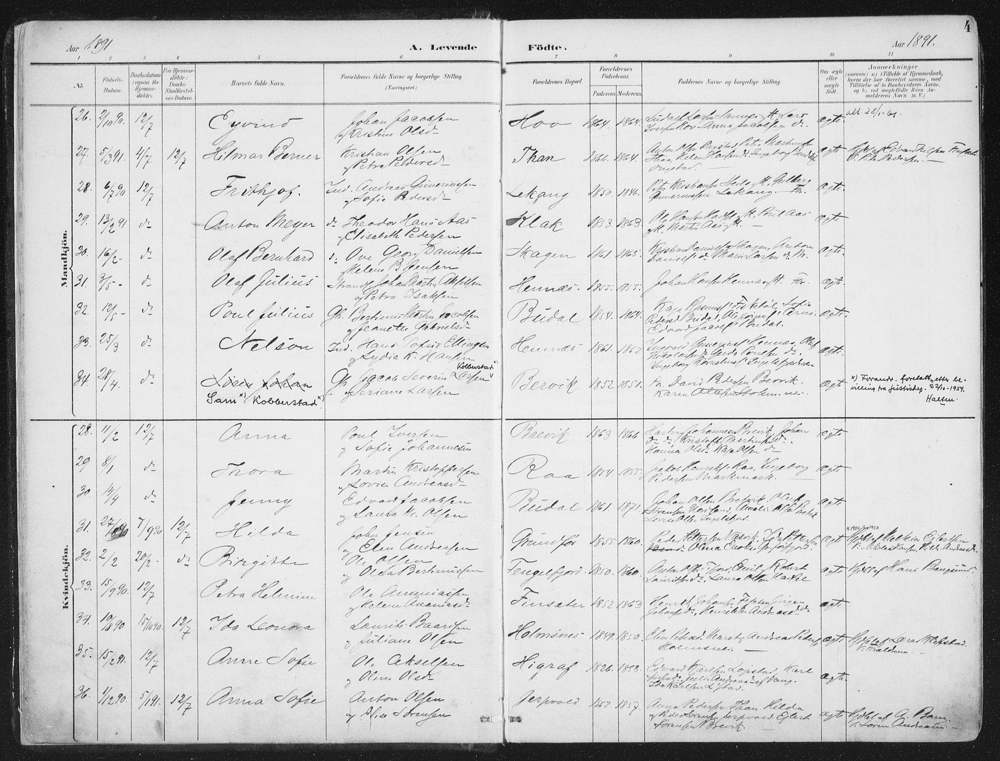 Ministerialprotokoller, klokkerbøker og fødselsregistre - Nordland, AV/SAT-A-1459/888/L1246: Parish register (official) no. 888A12, 1891-1903, p. 4