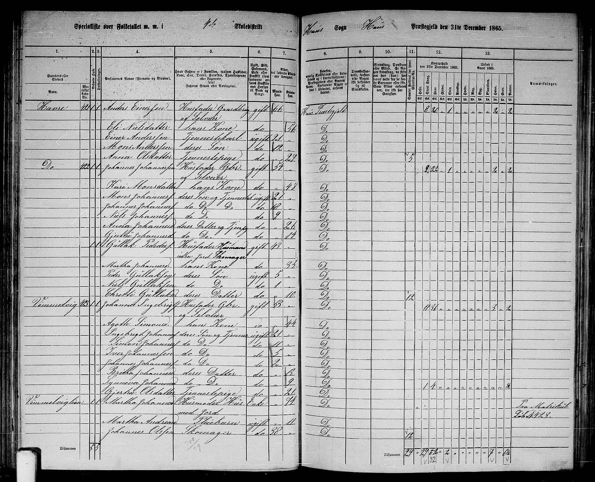 RA, 1865 census for Haus, 1865, p. 89