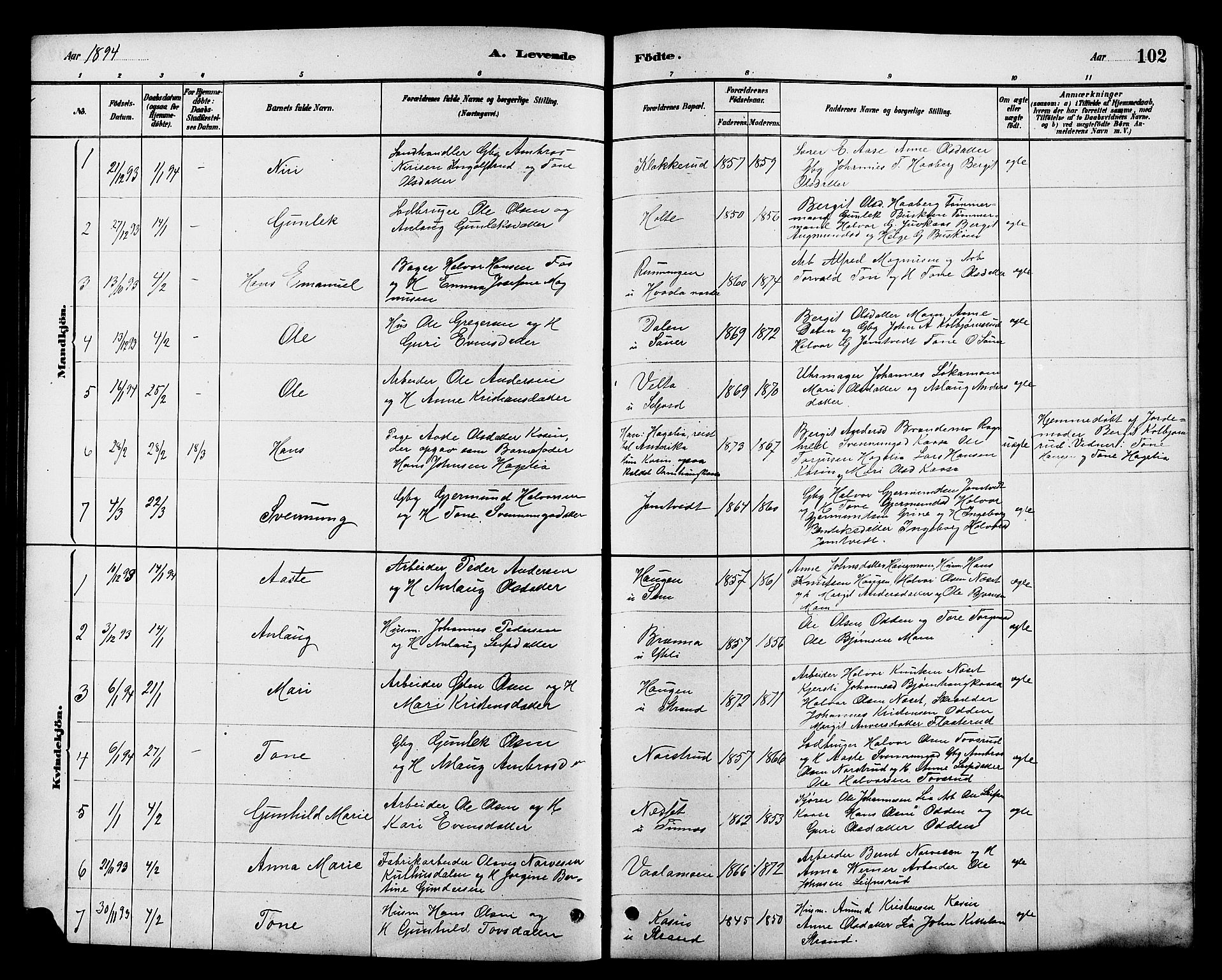 Heddal kirkebøker, SAKO/A-268/G/Ga/L0002: Parish register (copy) no. I 2, 1879-1908, p. 102