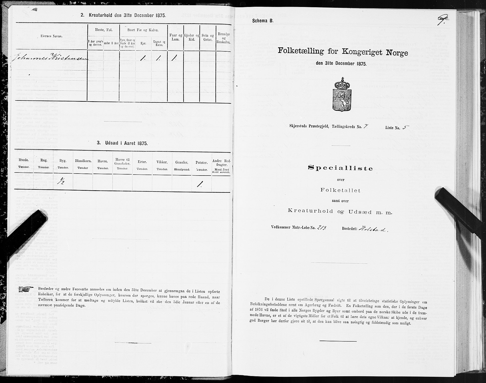 SAT, 1875 census for 1842P Skjerstad, 1875, p. 4009