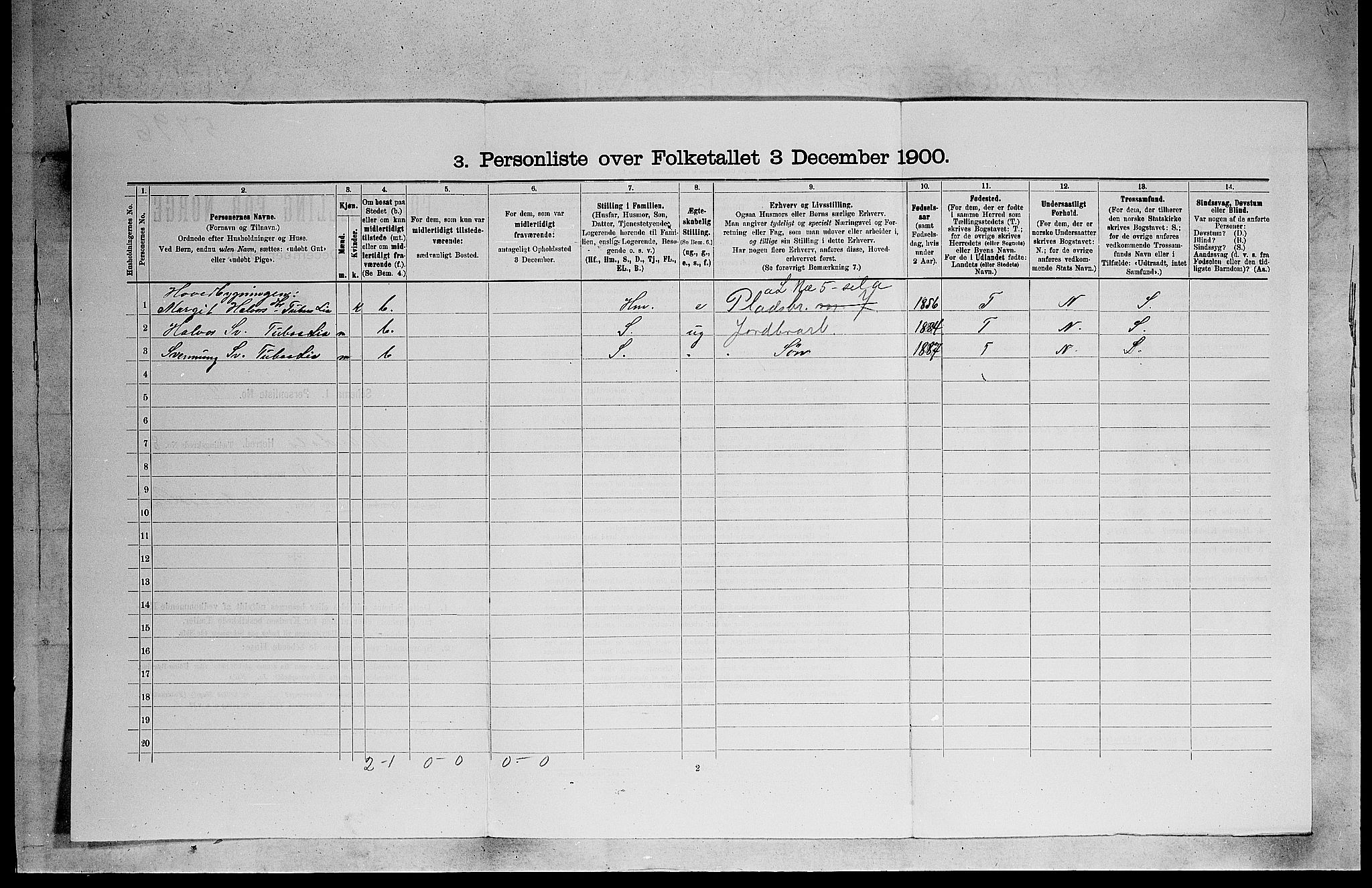 SAKO, 1900 census for Heddal, 1900, p. 1072