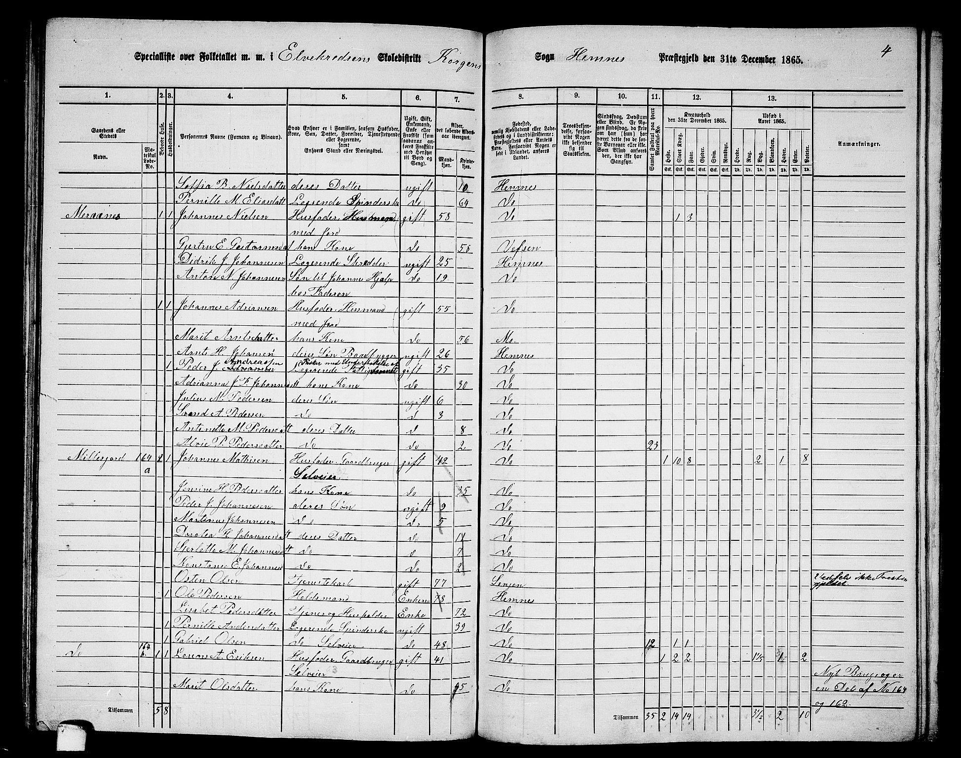 RA, 1865 census for Hemnes, 1865, p. 100