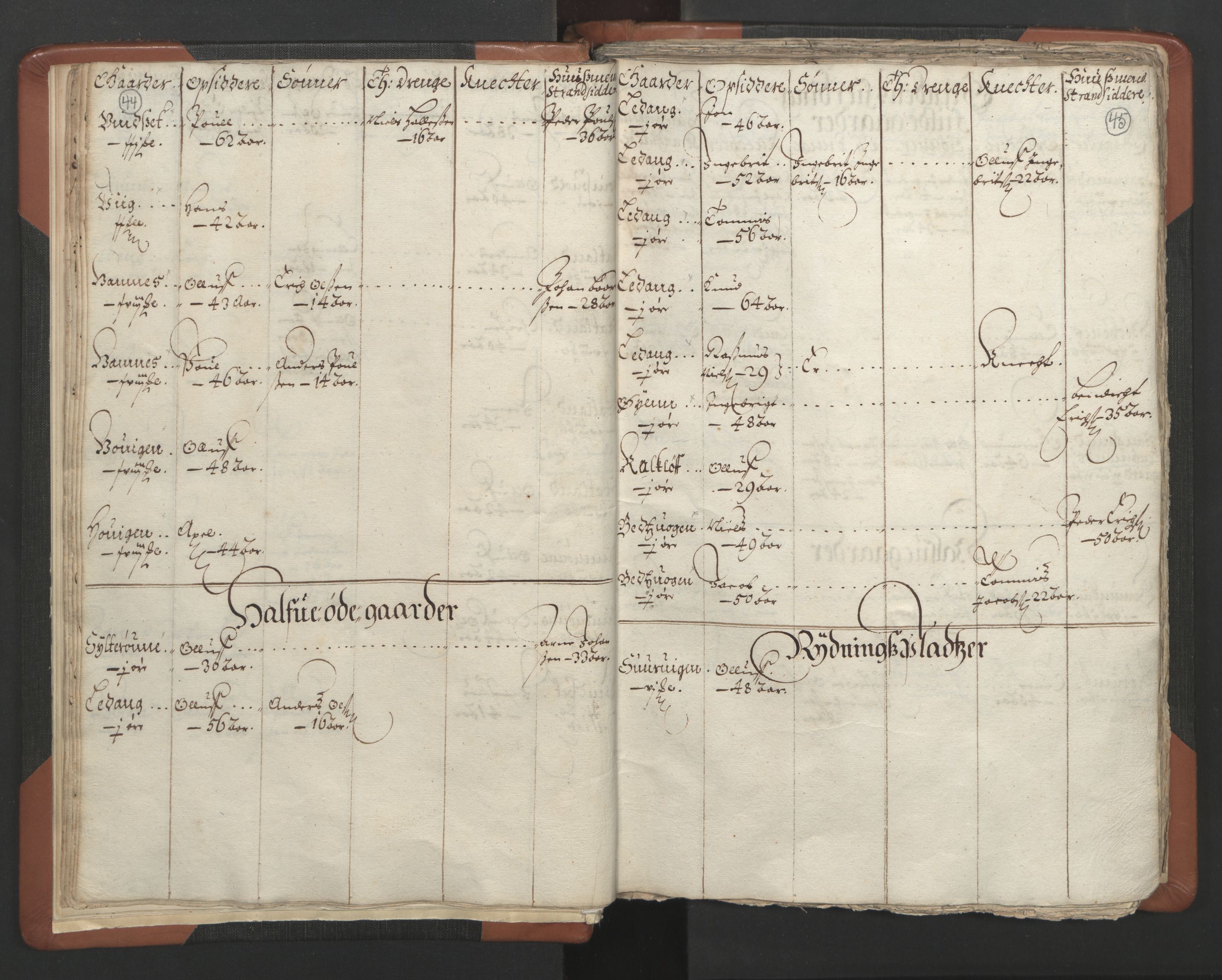 RA, Vicar's Census 1664-1666, no. 34: Namdal deanery, 1664-1666, p. 44-45