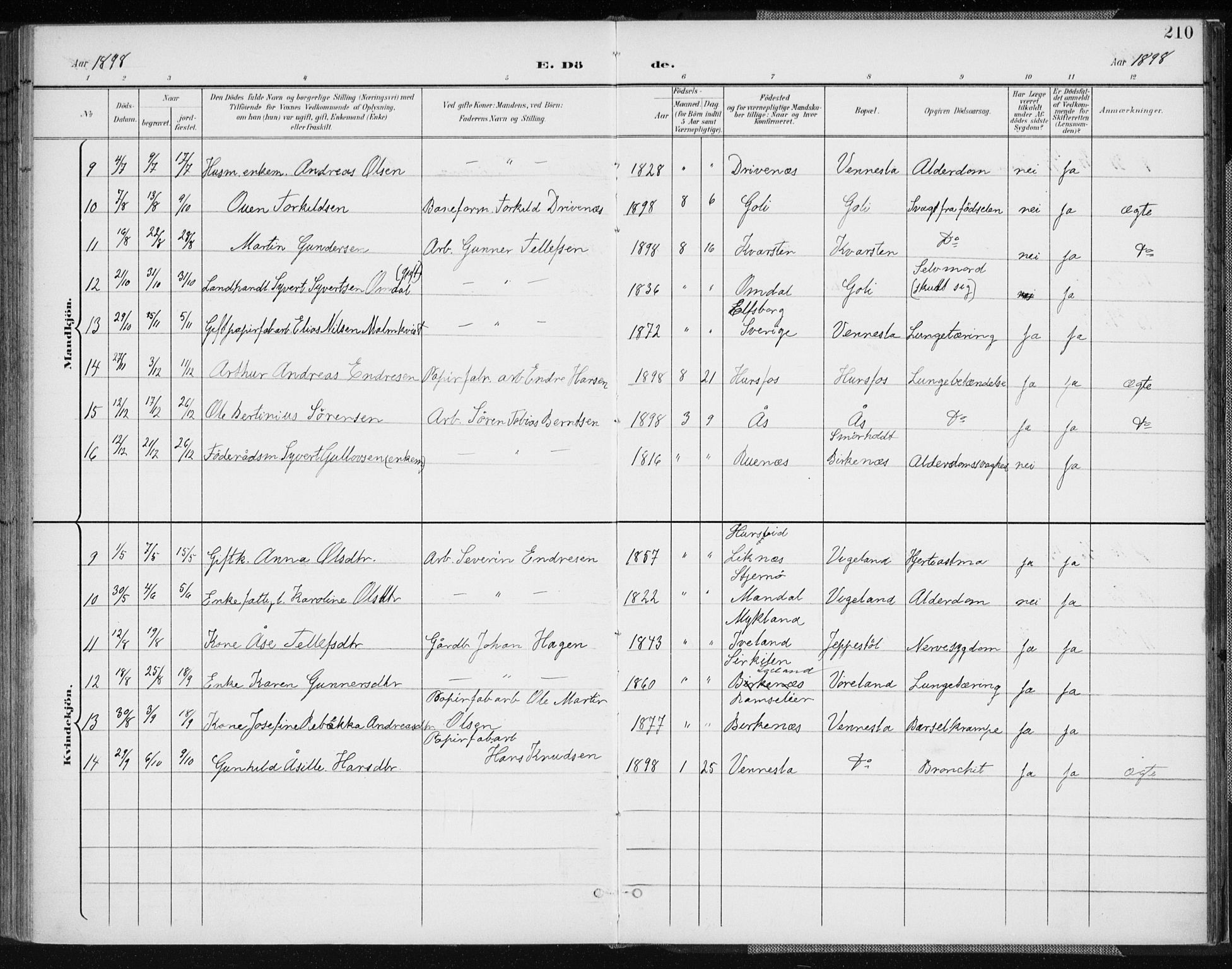 Vennesla sokneprestkontor, AV/SAK-1111-0045/Fa/Fab/L0005: Parish register (official) no. A 5, 1897-1909, p. 210