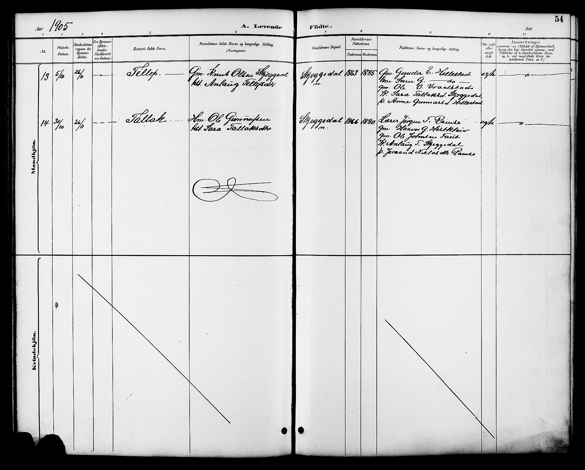 Åmli sokneprestkontor, AV/SAK-1111-0050/F/Fb/Fbb/L0002: Parish register (copy) no. B 2, 1890-1905, p. 54