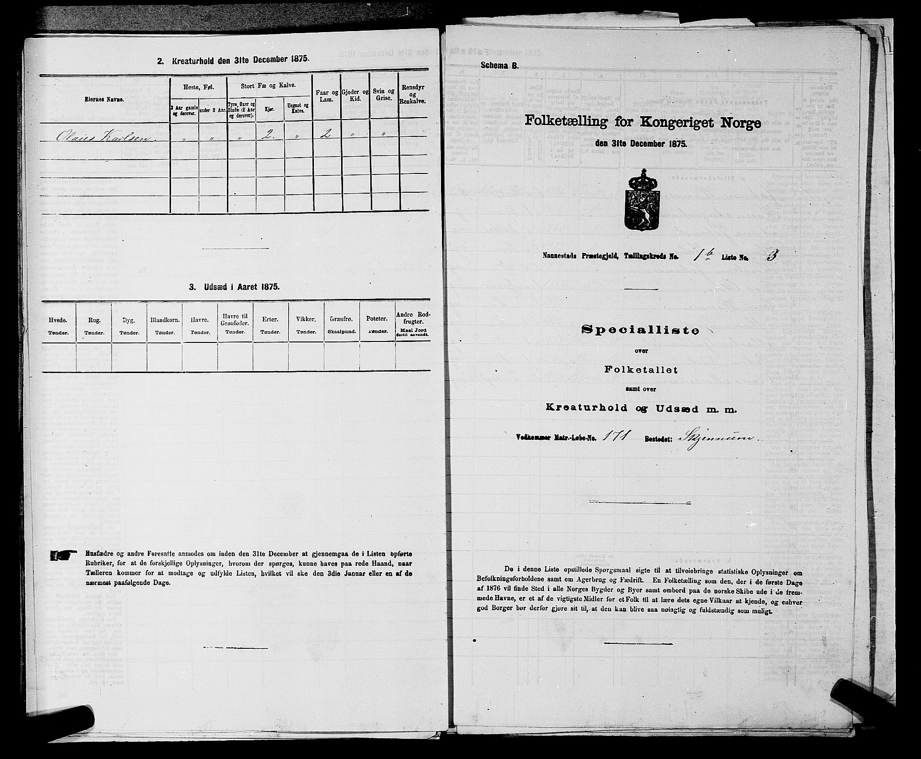 RA, 1875 census for 0238P Nannestad, 1875, p. 172