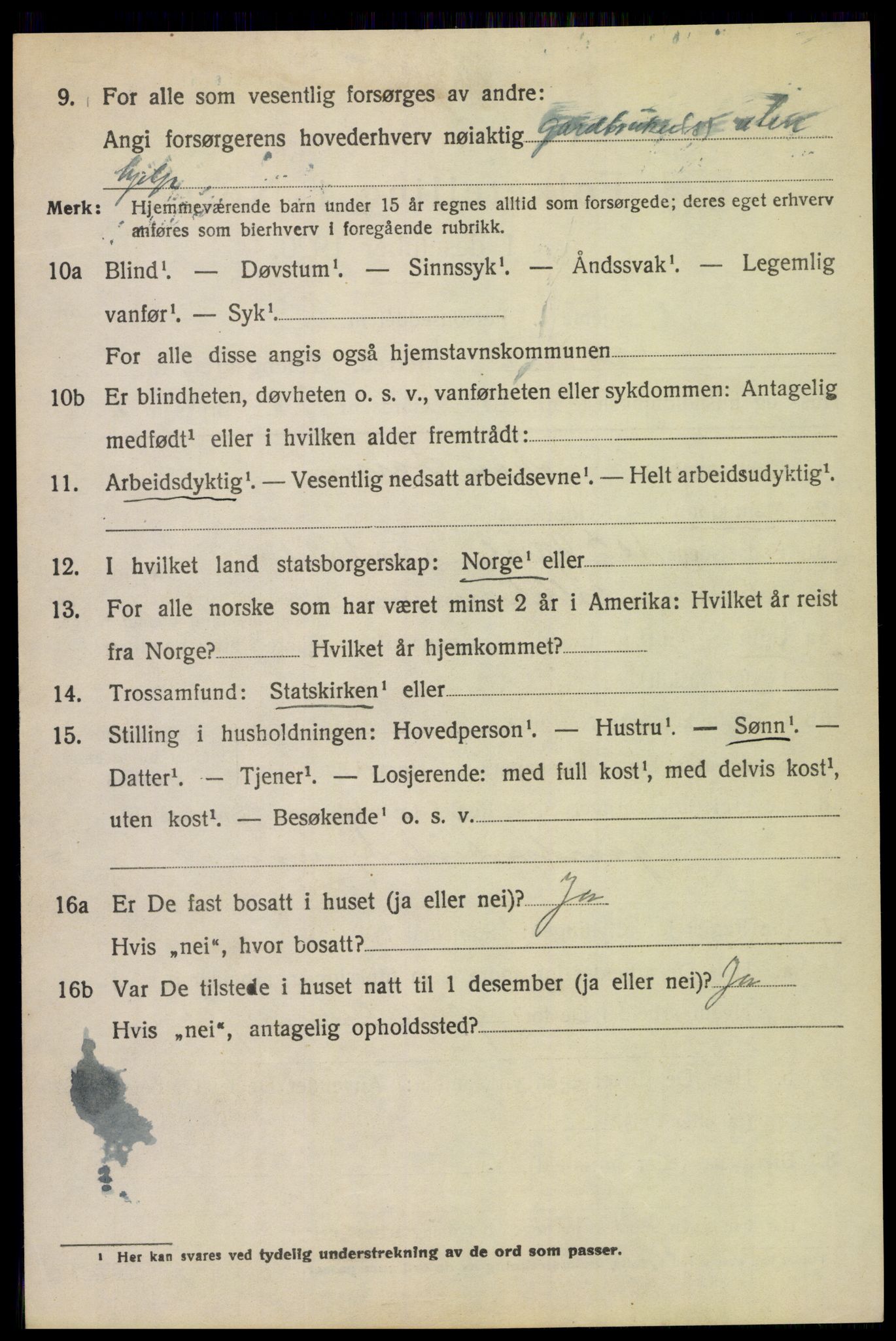 SAH, 1920 census for Fåberg, 1920, p. 4491