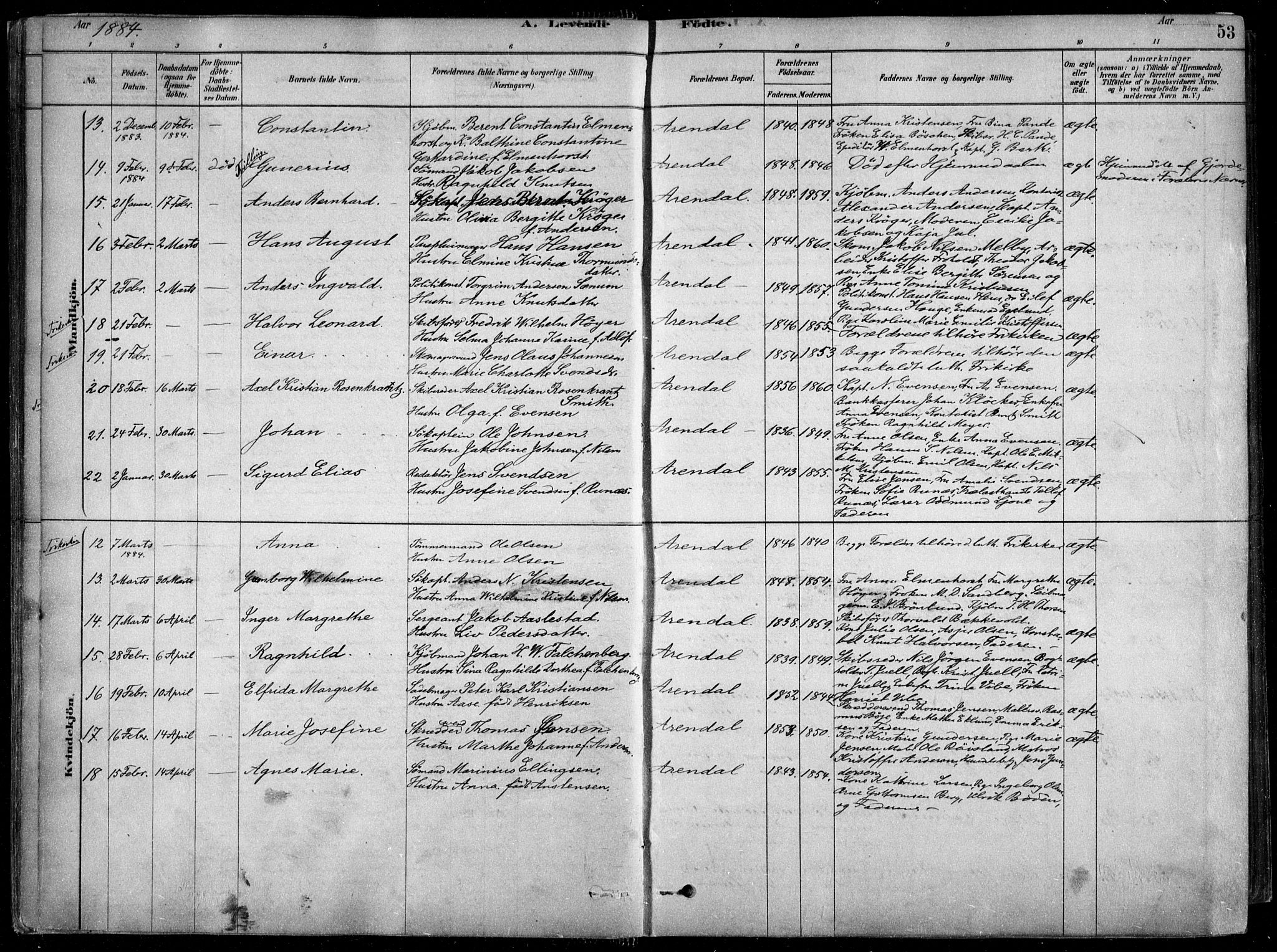 Arendal sokneprestkontor, Trefoldighet, AV/SAK-1111-0040/F/Fa/L0008: Parish register (official) no. A 8, 1878-1899, p. 53