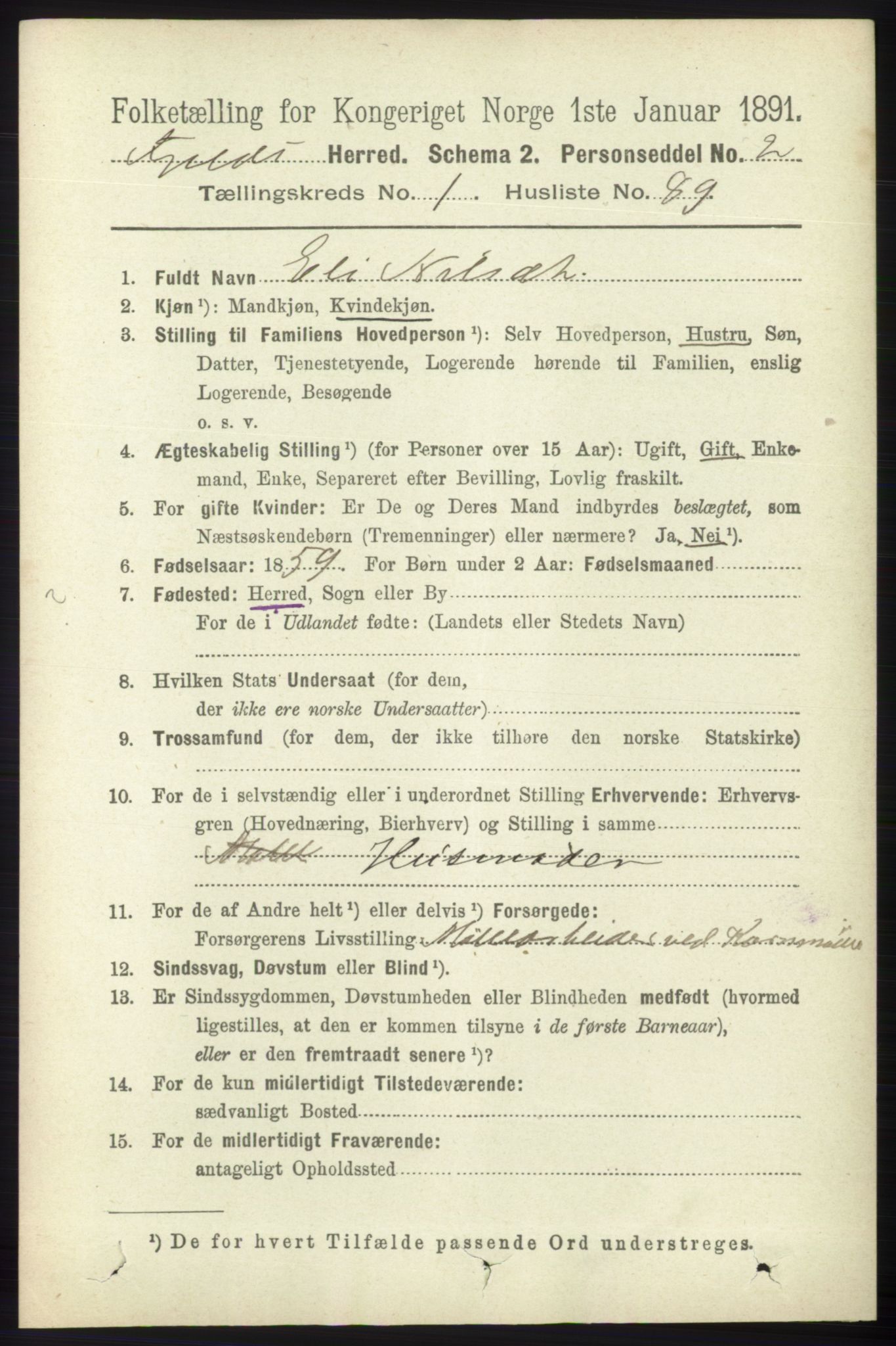 RA, 1891 census for 1246 Fjell, 1891, p. 613