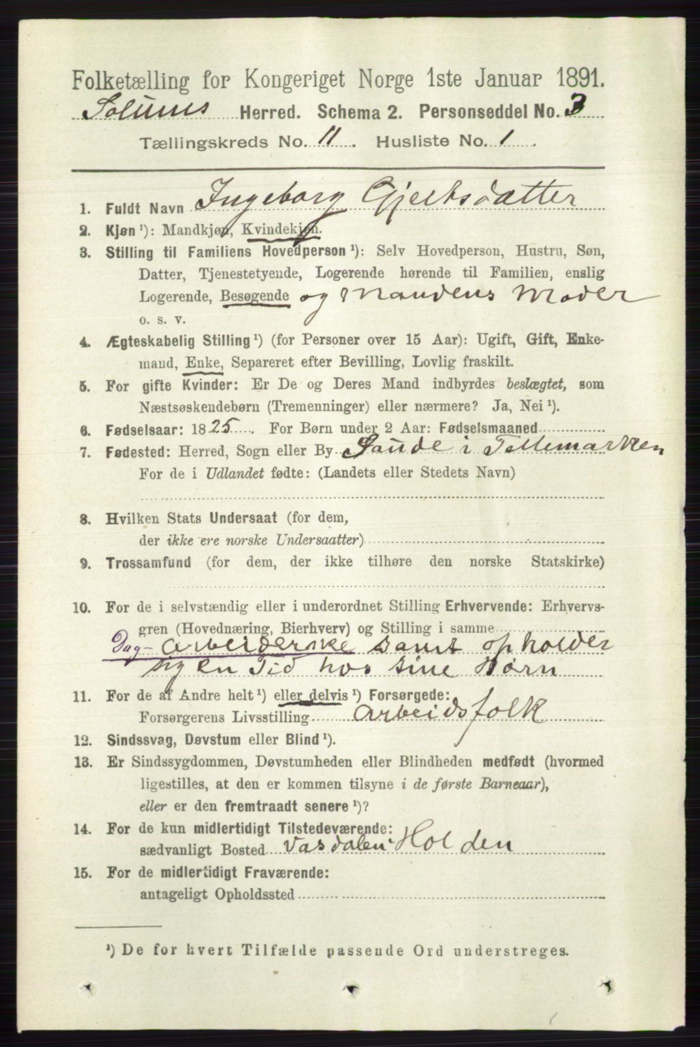 RA, 1891 census for 0818 Solum, 1891, p. 5289