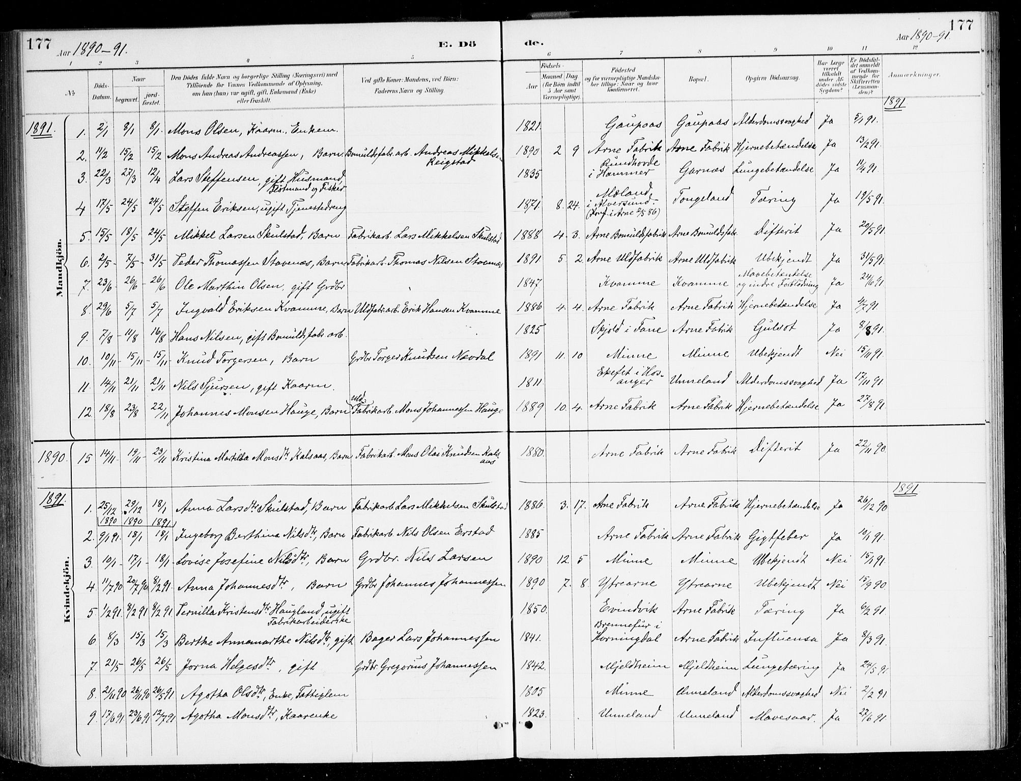 Haus sokneprestembete, SAB/A-75601/H/Haa/Haad/L0001: Parish register (official) no. D 1, 1887-1898, p. 177