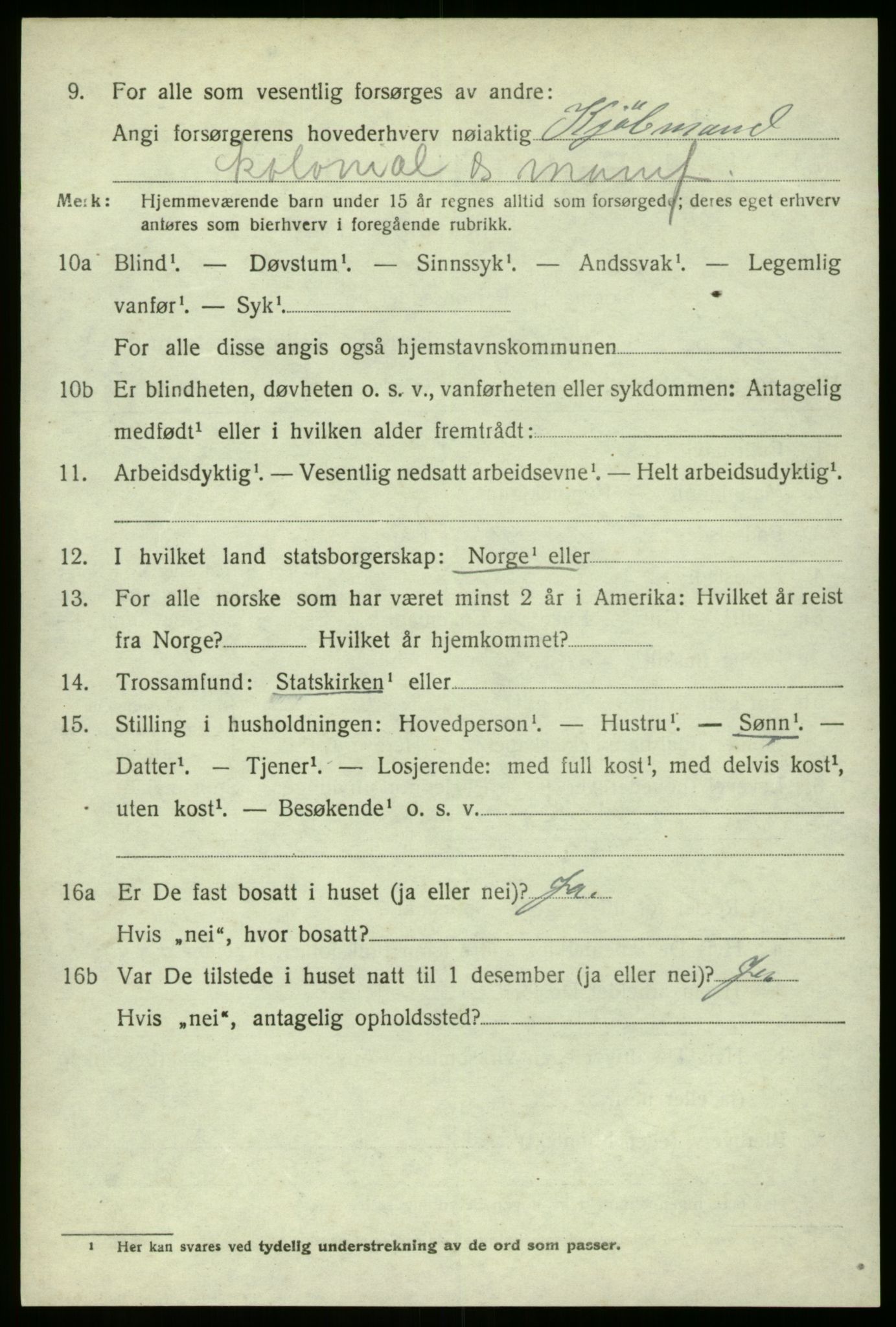 SAO, 1920 census for Borge, 1920, p. 4948