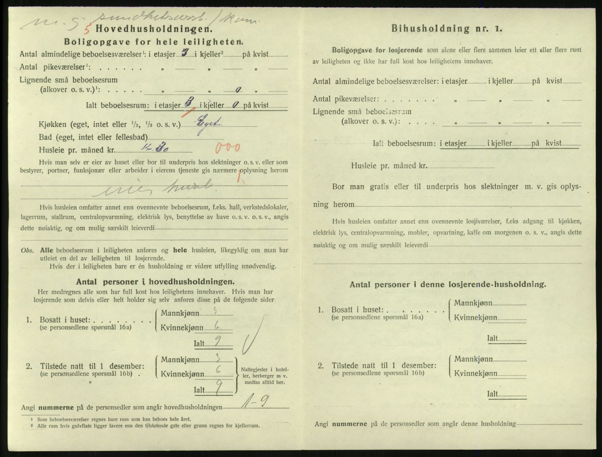 SAKO, 1920 census for Larvik, 1920, p. 5955