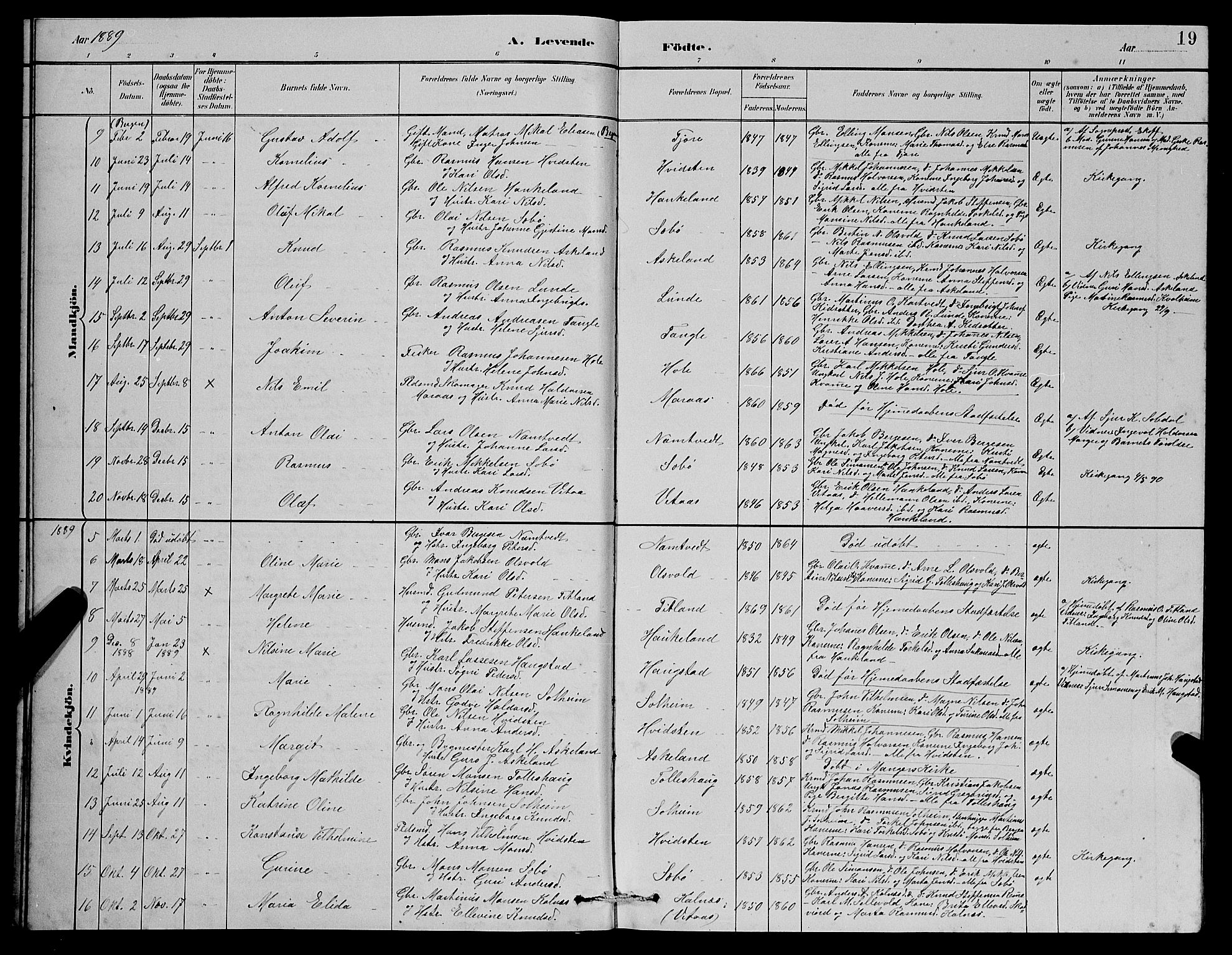 Manger sokneprestembete, AV/SAB-A-76801/H/Haa: Parish register (official) no. D 2, 1894-1908, p. 19