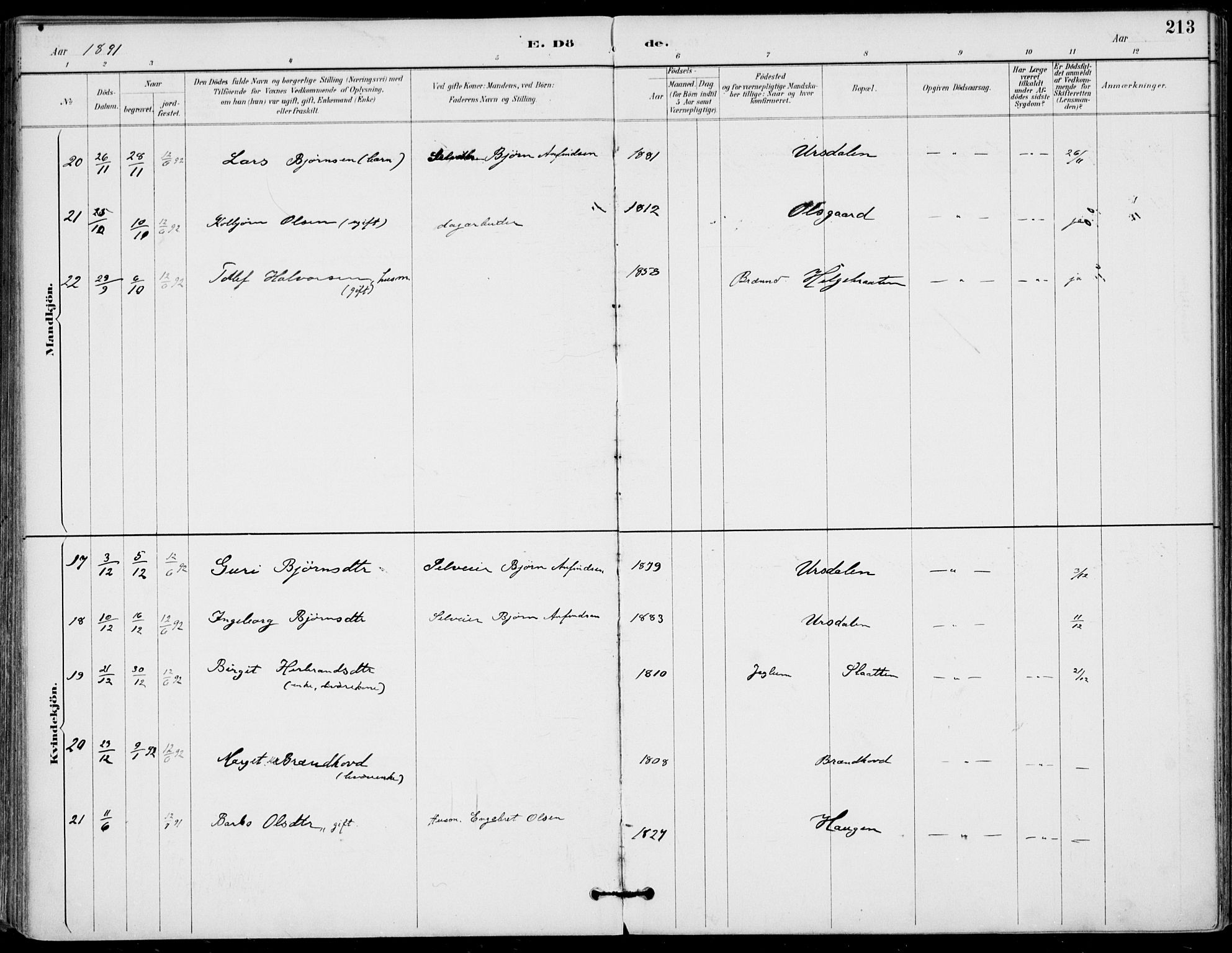 Gol kirkebøker, AV/SAKO-A-226/F/Fa/L0005: Parish register (official) no. I 5, 1887-1900, p. 213