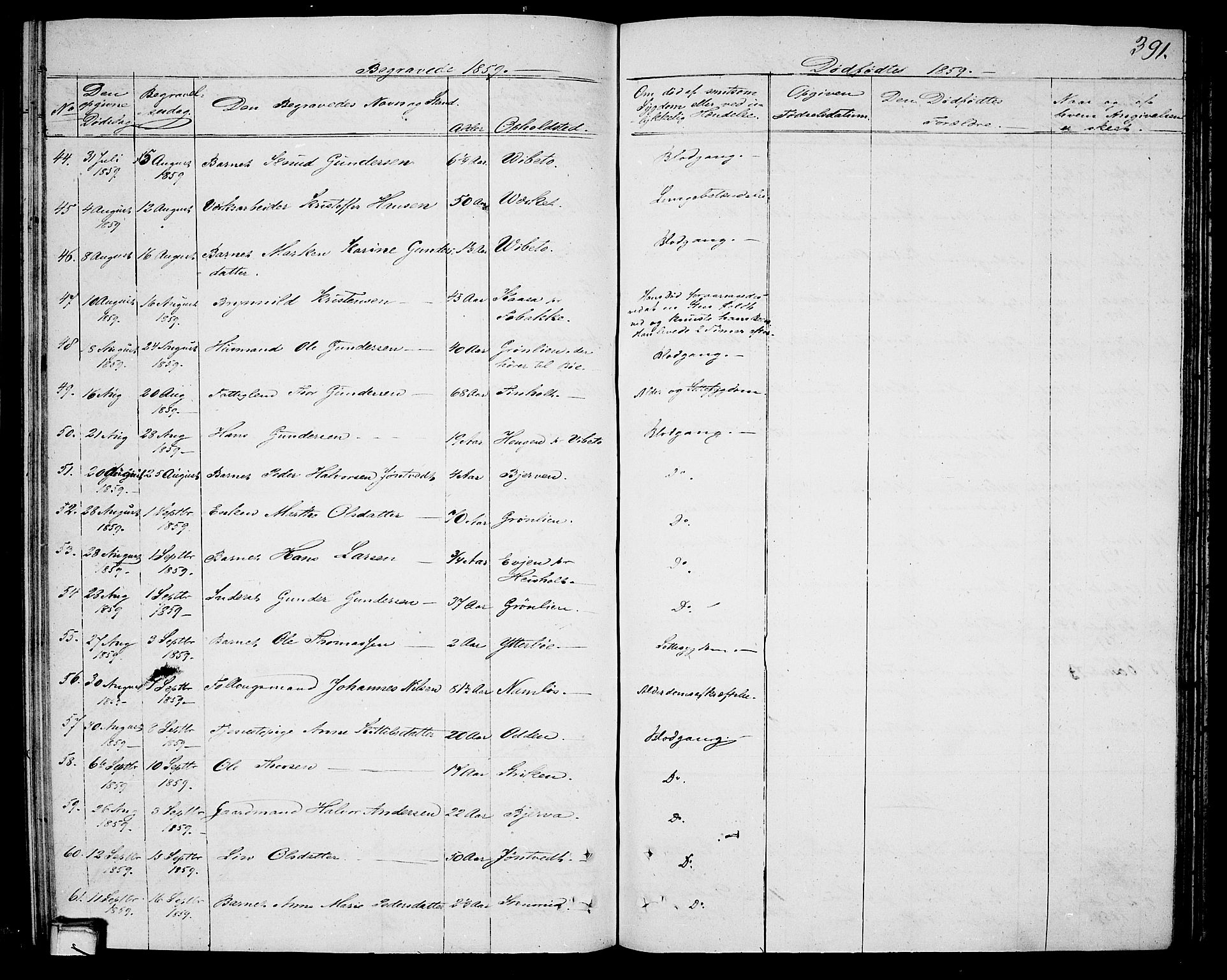 Holla kirkebøker, SAKO/A-272/G/Ga/L0003: Parish register (copy) no. I 3, 1849-1866, p. 391