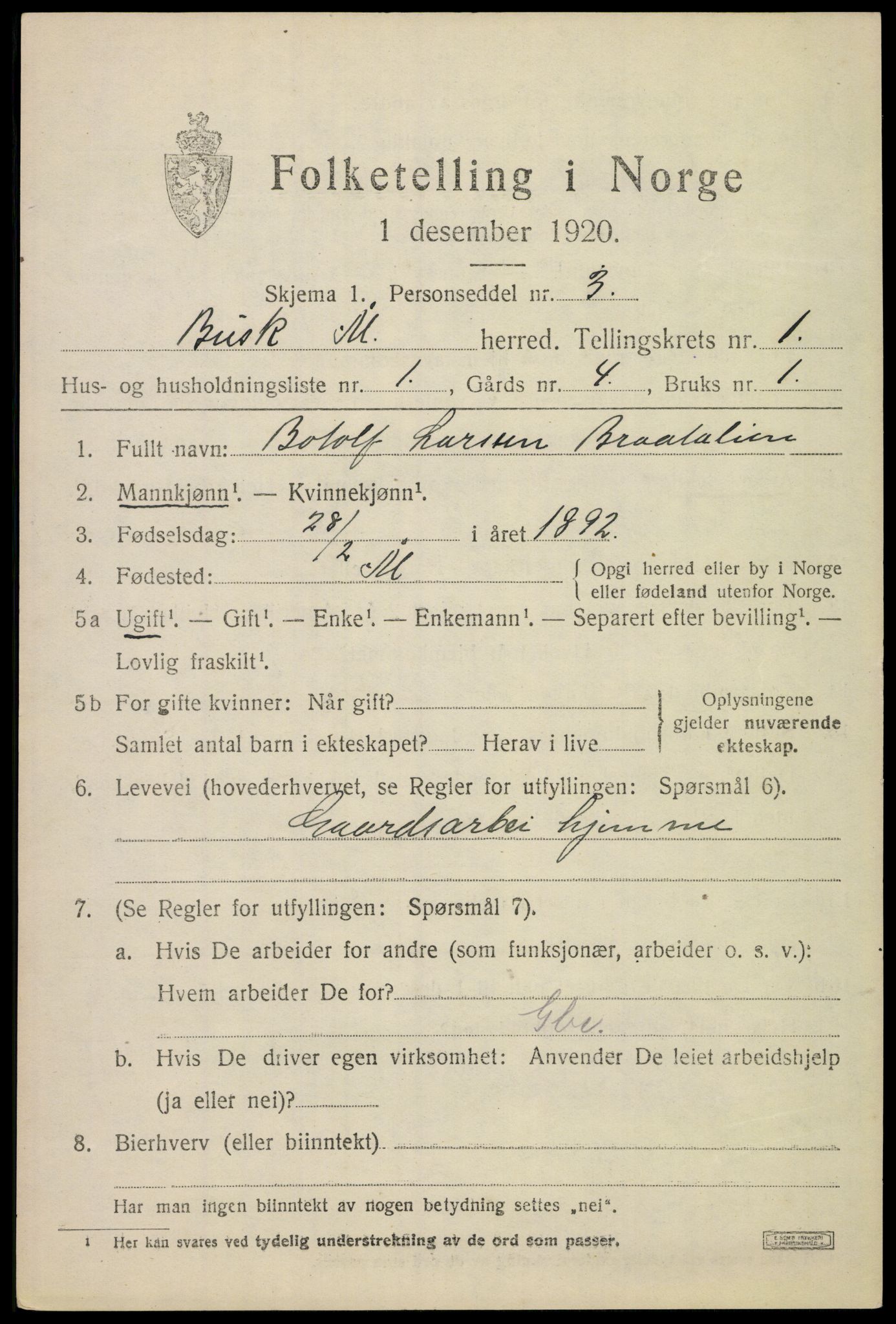 SAKO, 1920 census for Ål, 1920, p. 1402