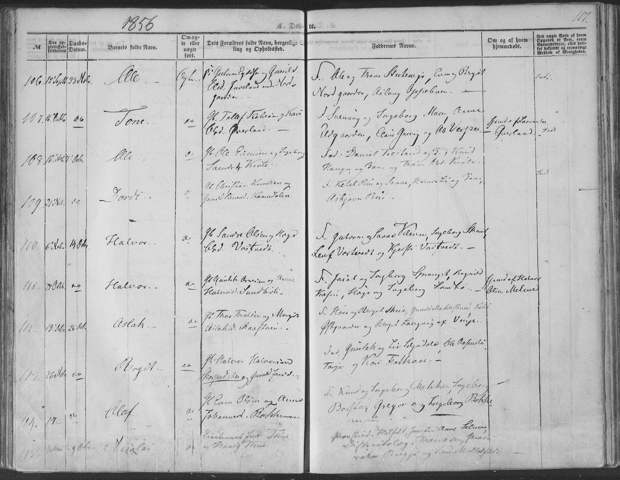 Seljord kirkebøker, SAKO/A-20/F/Fa/L012a: Parish register (official) no. I 12A, 1850-1865, p. 117