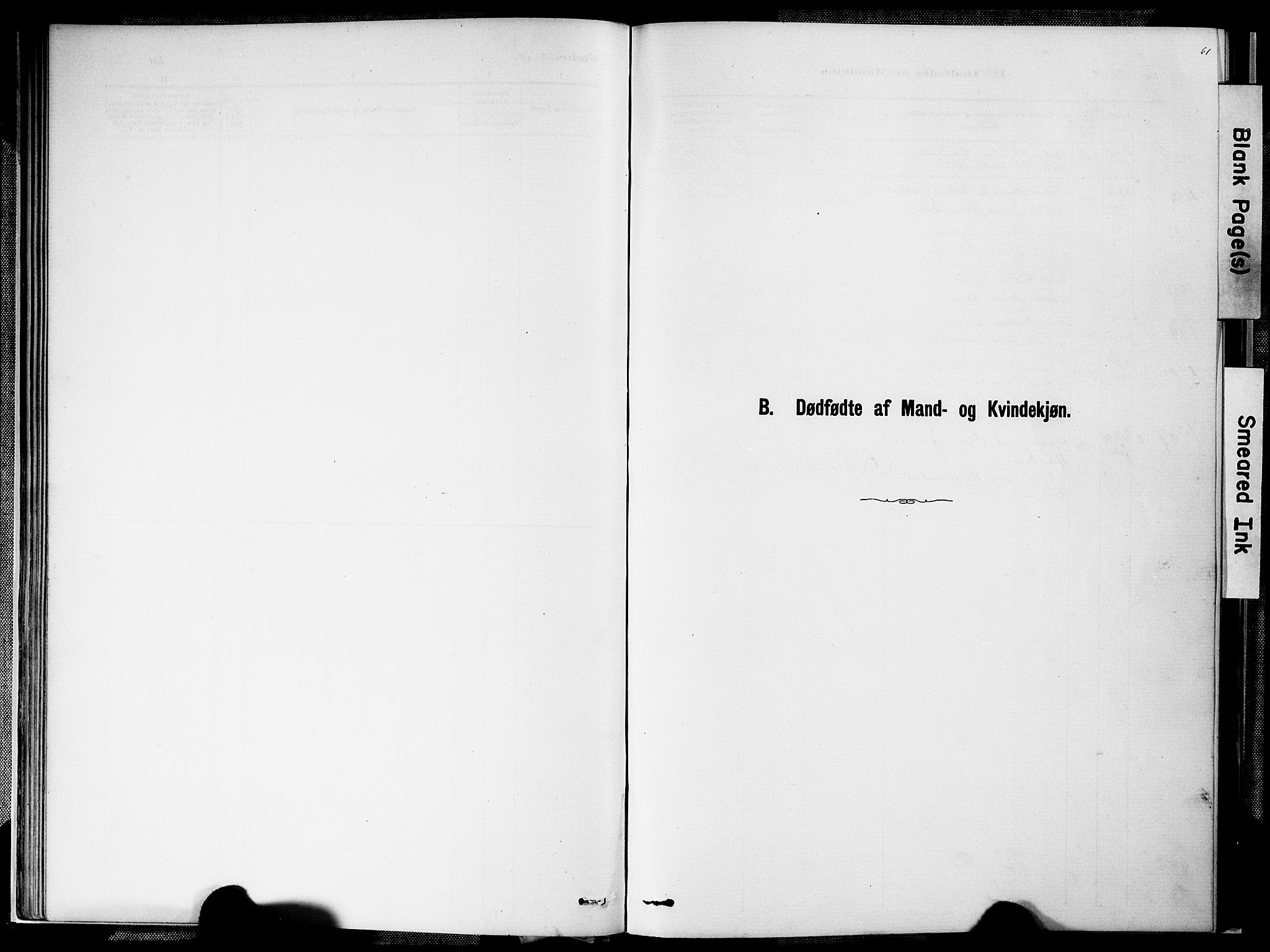 Valle sokneprestkontor, SAK/1111-0044/F/Fa/Faa/L0001: Parish register (official) no. A 1, 1882-1907, p. 61