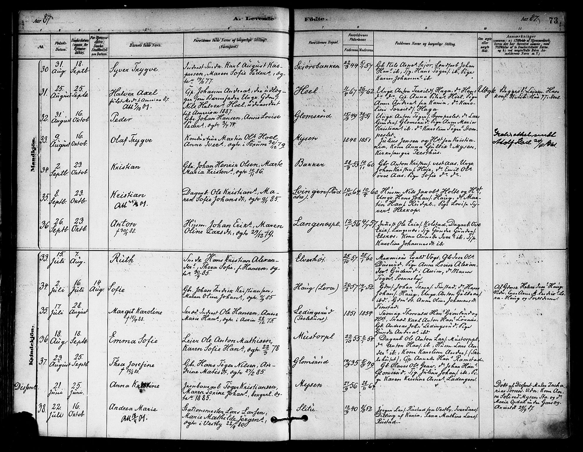 Eidsberg prestekontor Kirkebøker, SAO/A-10905/F/Fa/L0012: Parish register (official) no. I 12, 1879-1901, p. 73