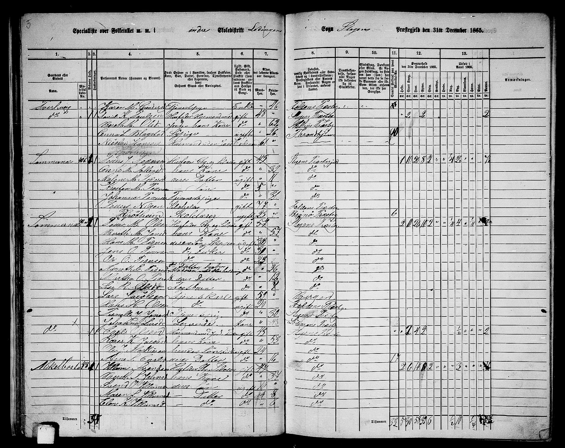 RA, 1865 census for Steigen, 1865, p. 25