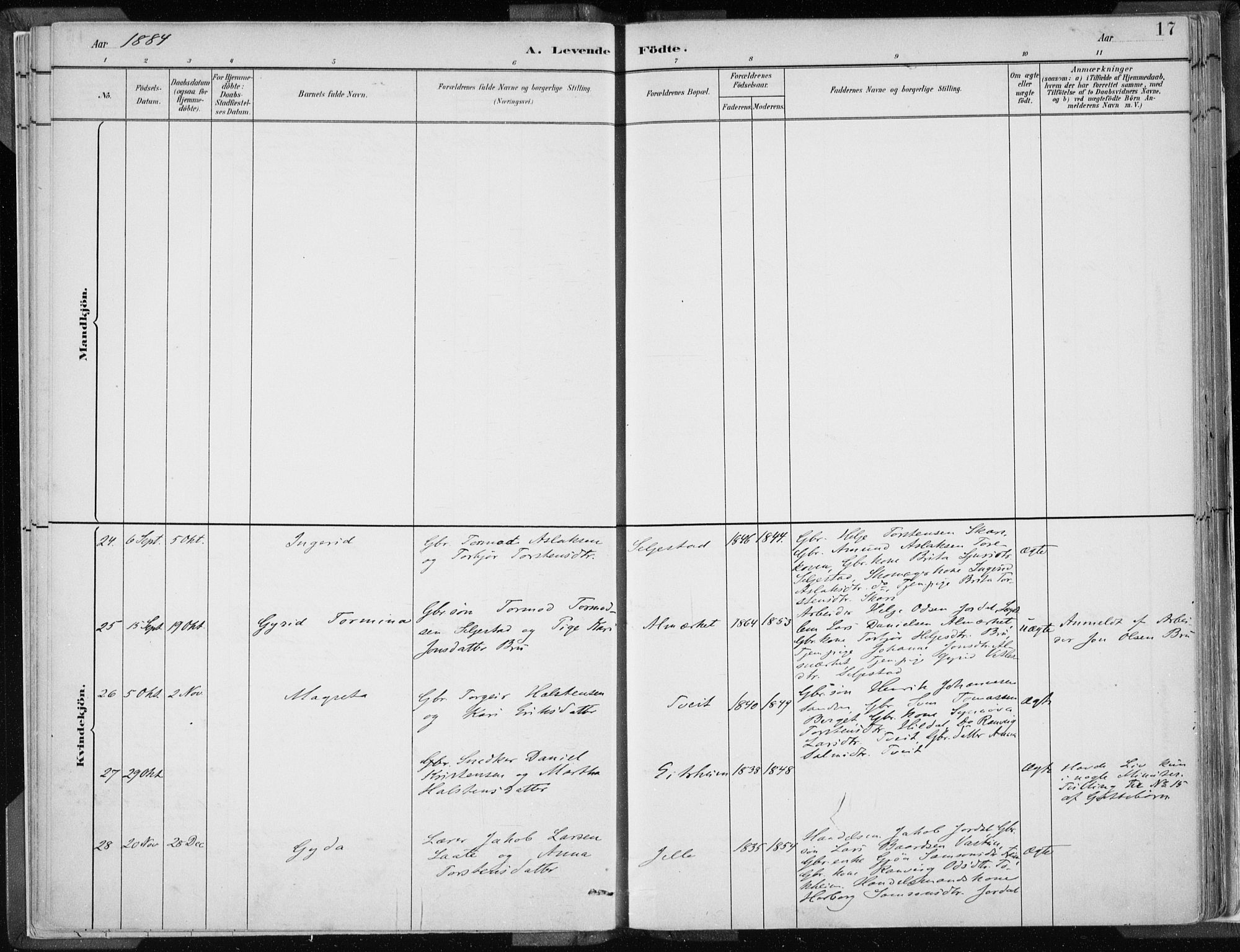 Odda Sokneprestembete, SAB/A-77201/H/Haa: Parish register (official) no. A  3, 1882-1913, p. 17