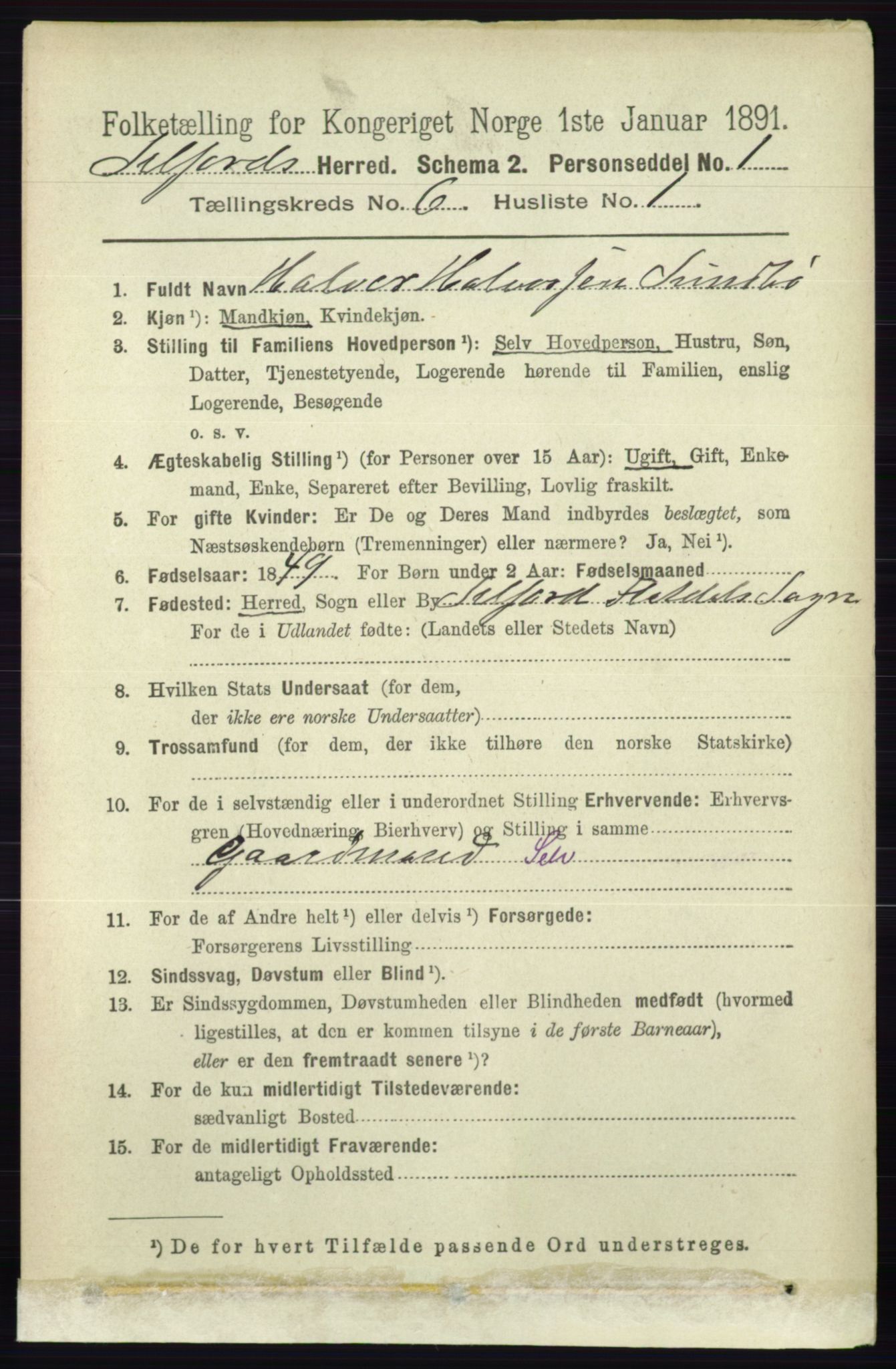 RA, 1891 census for 0828 Seljord, 1891, p. 2208