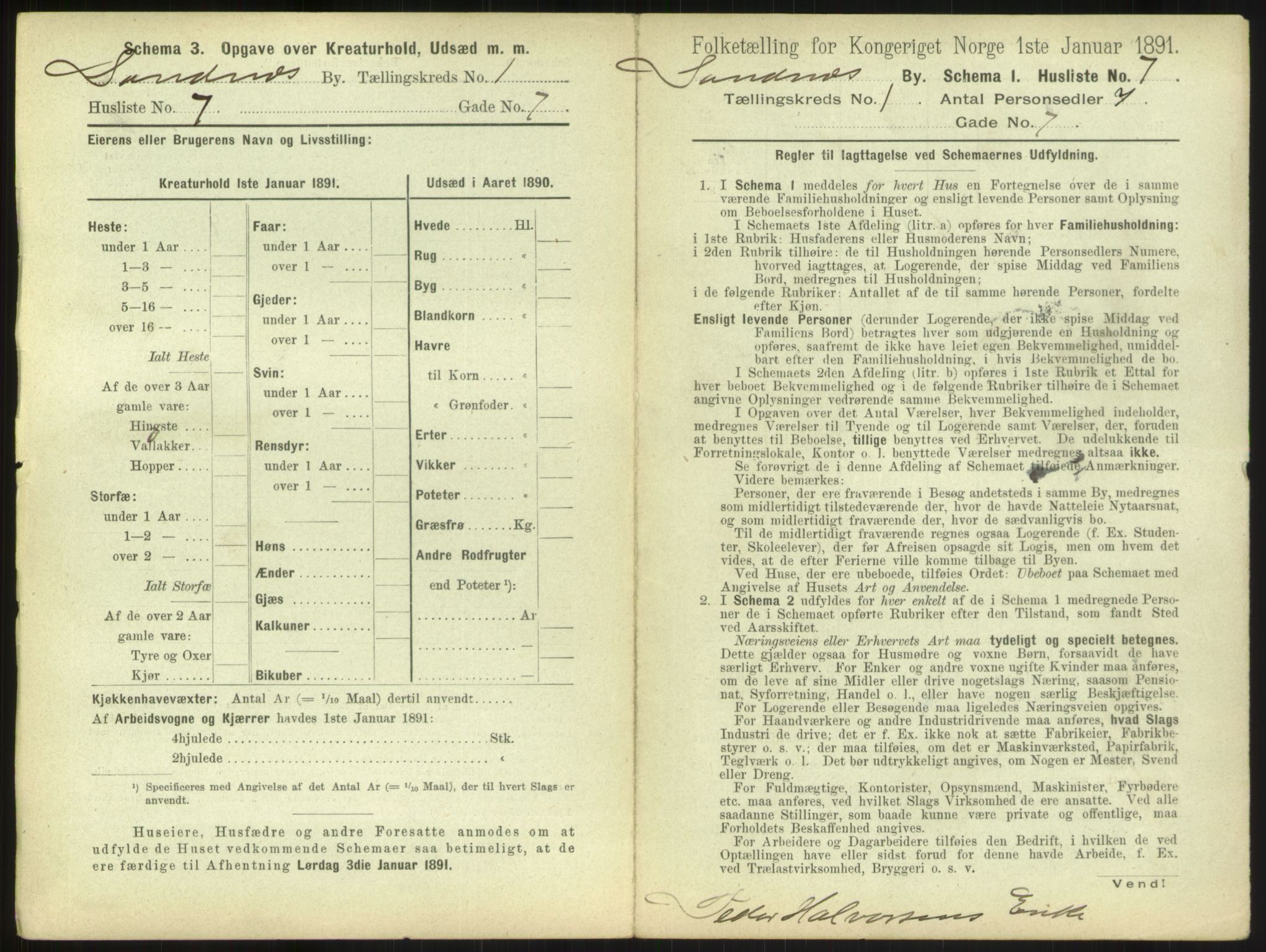 RA, 1891 census for 1102 Sandnes, 1891, p. 27