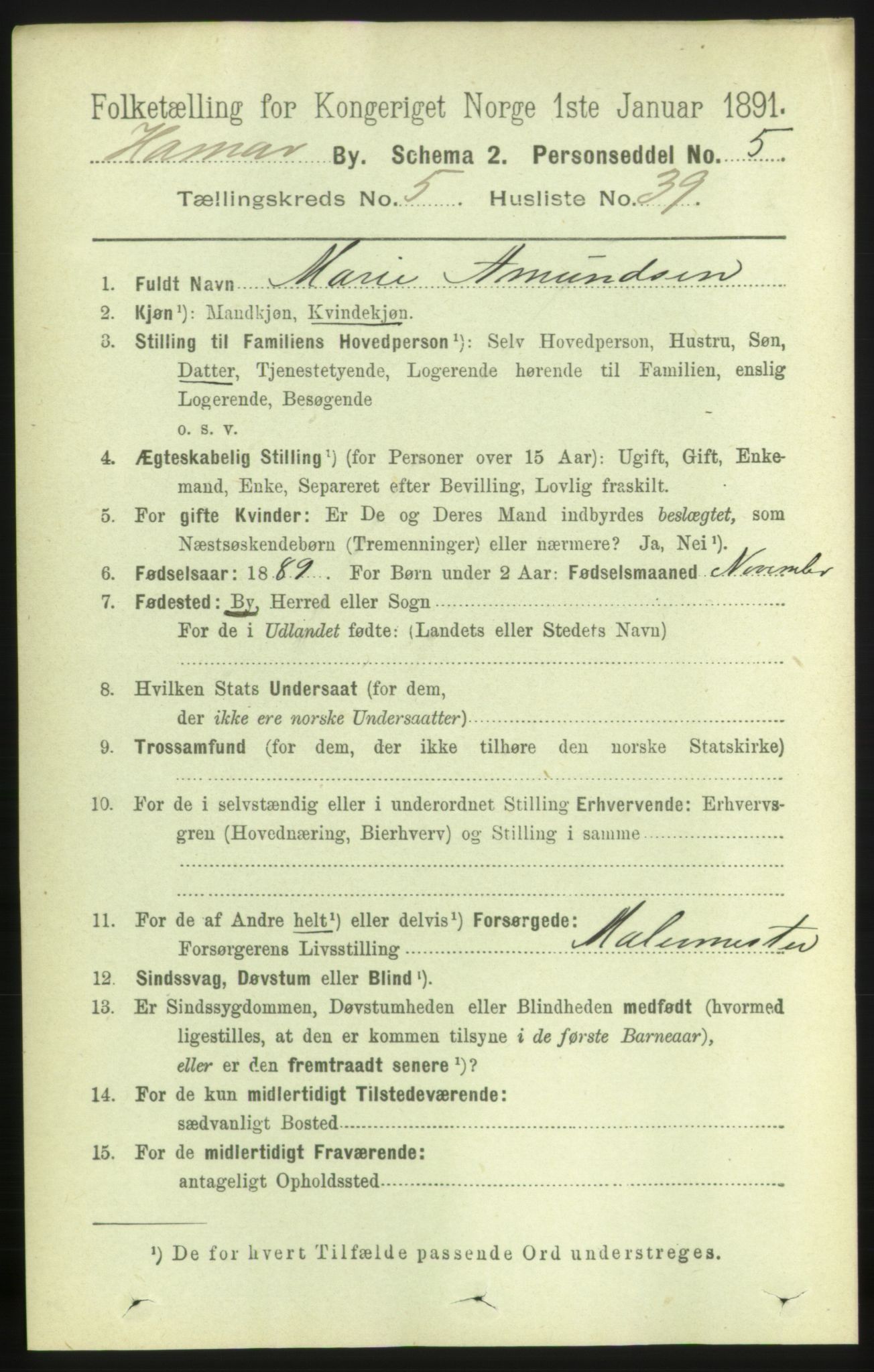 RA, 1891 census for 0401 Hamar, 1891, p. 4308