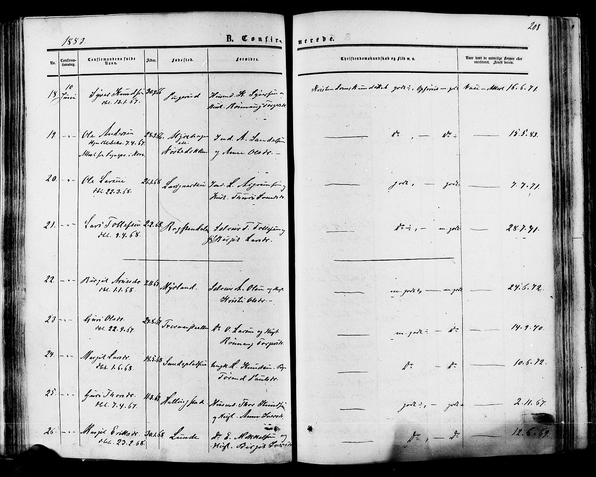 Hol kirkebøker, AV/SAKO-A-227/F/Fa/L0002: Parish register (official) no. I 2, 1870-1886, p. 208