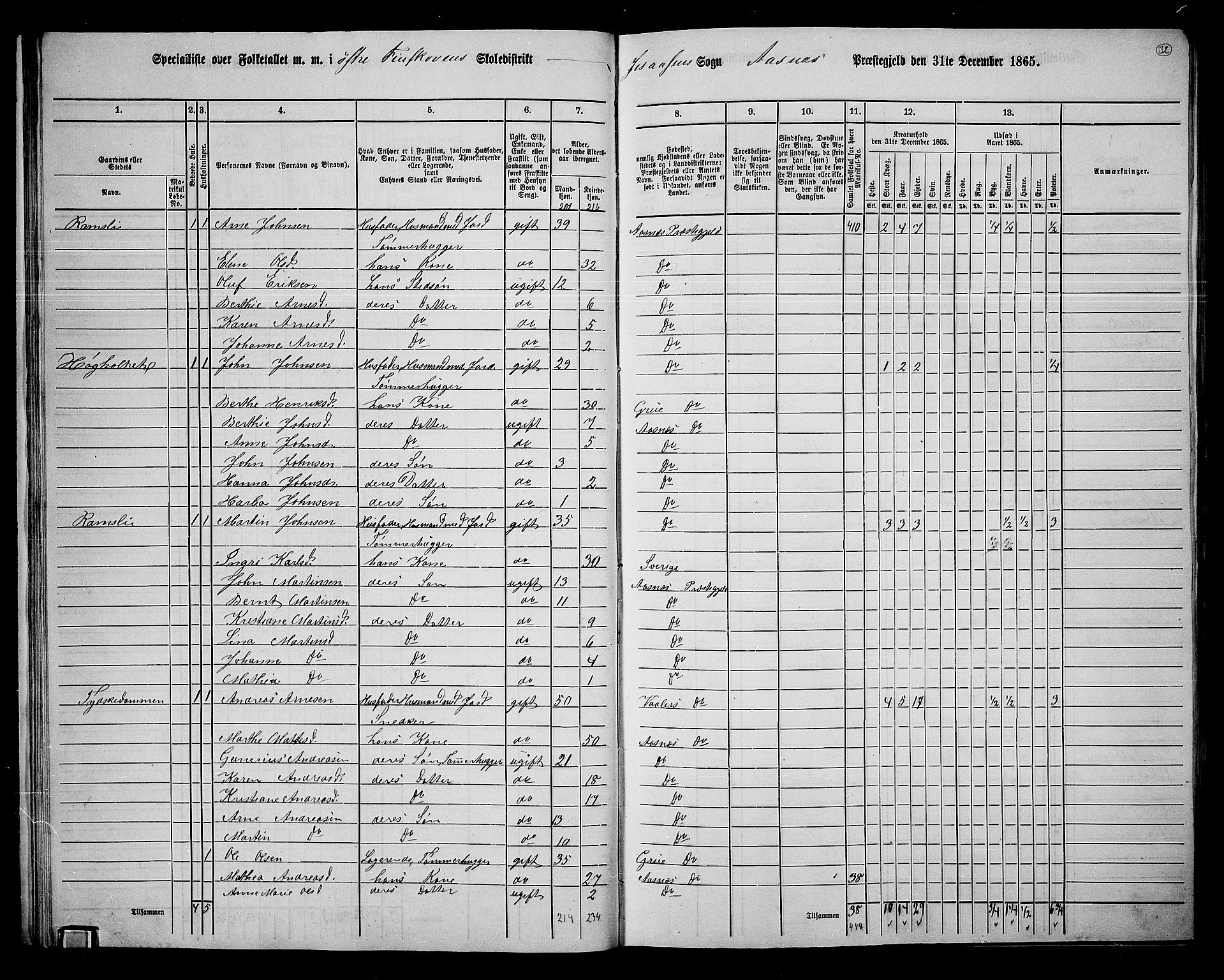 RA, 1865 census for Åsnes, 1865, p. 29