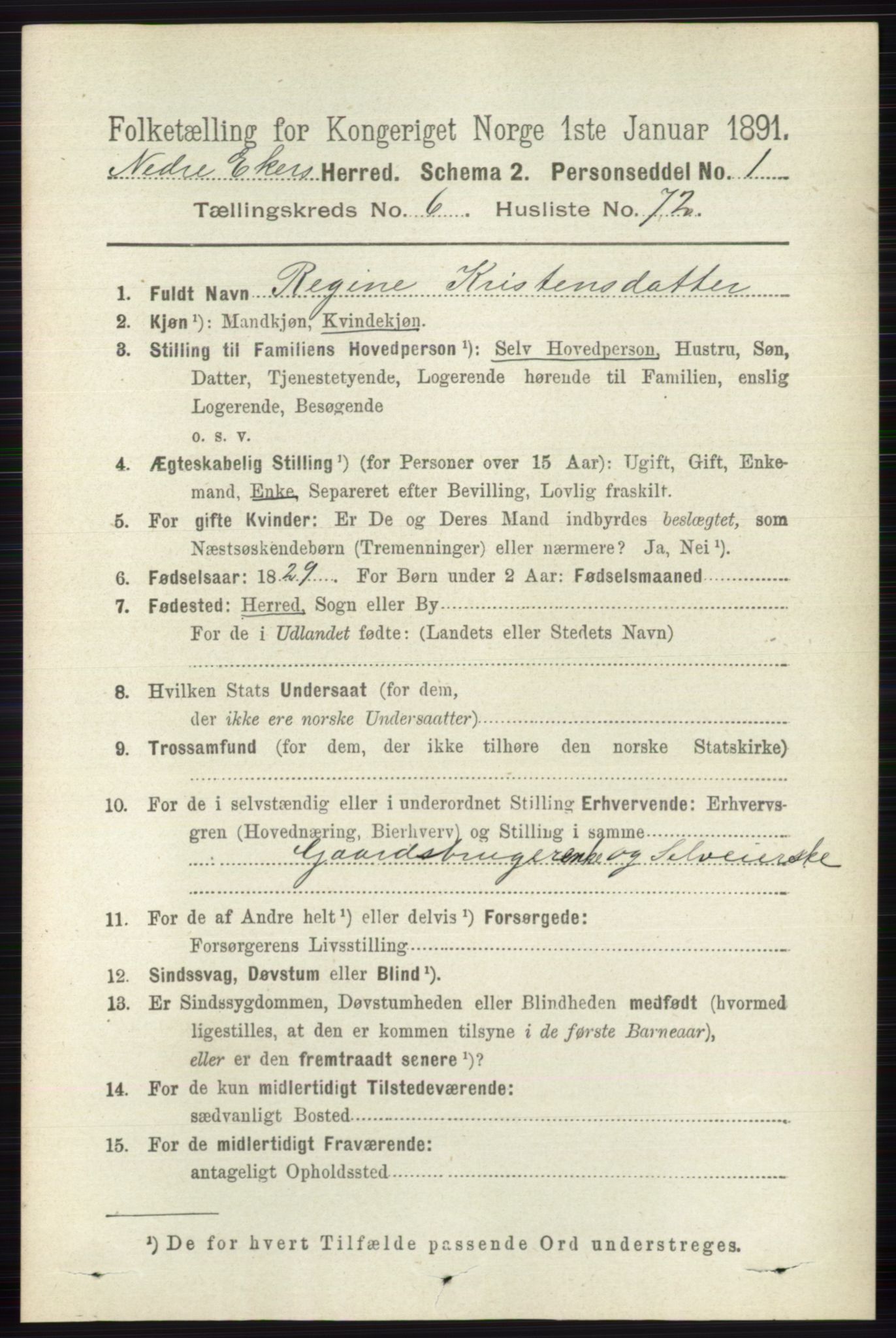 RA, 1891 census for 0625 Nedre Eiker, 1891, p. 3260