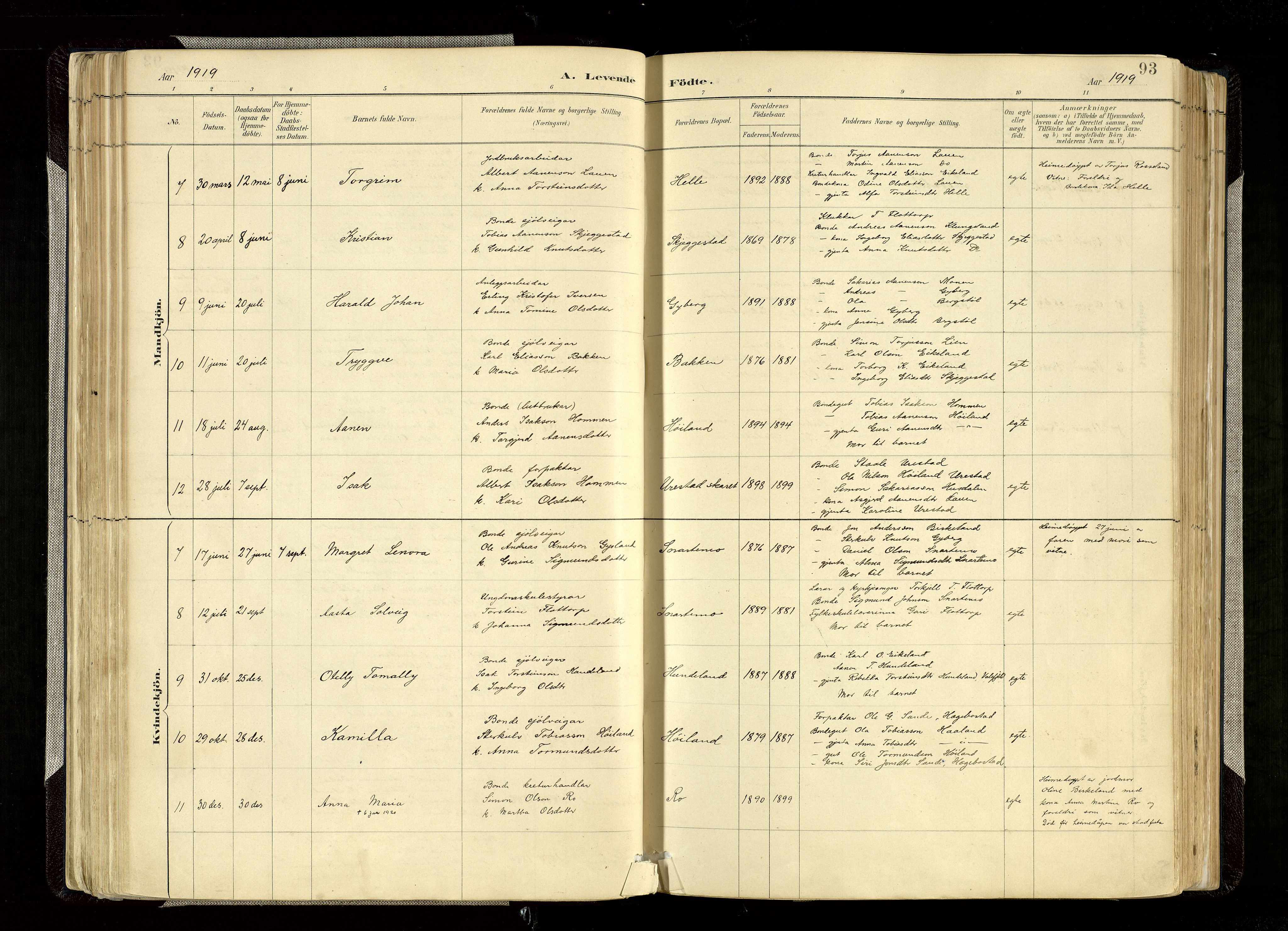 Hægebostad sokneprestkontor, SAK/1111-0024/F/Fa/Faa/L0006: Parish register (official) no. A 6, 1887-1929, p. 93
