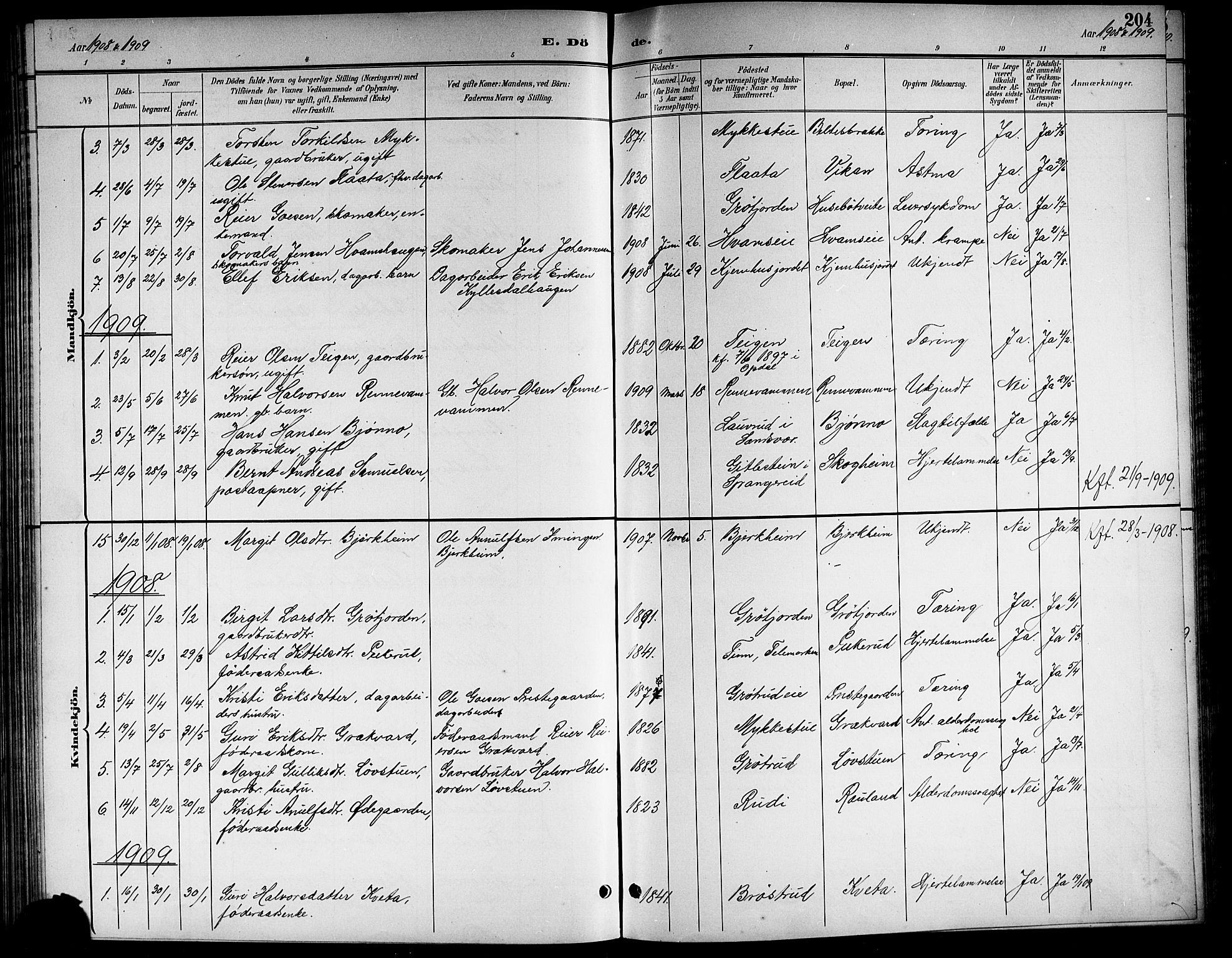 Nore kirkebøker, SAKO/A-238/G/Gb/L0003: Parish register (copy) no. II 3, 1894-1923, p. 204
