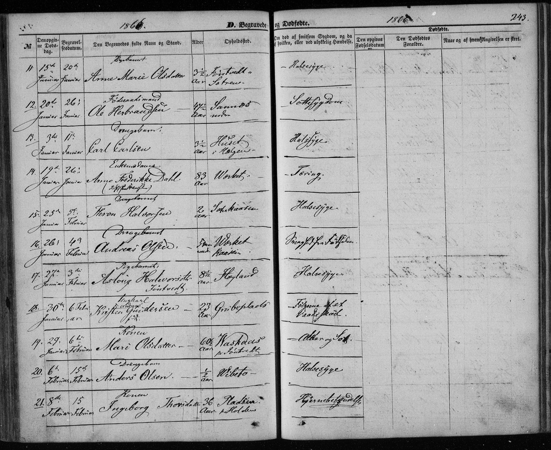 Holla kirkebøker, SAKO/A-272/F/Fa/L0006: Parish register (official) no. 6, 1861-1869, p. 243