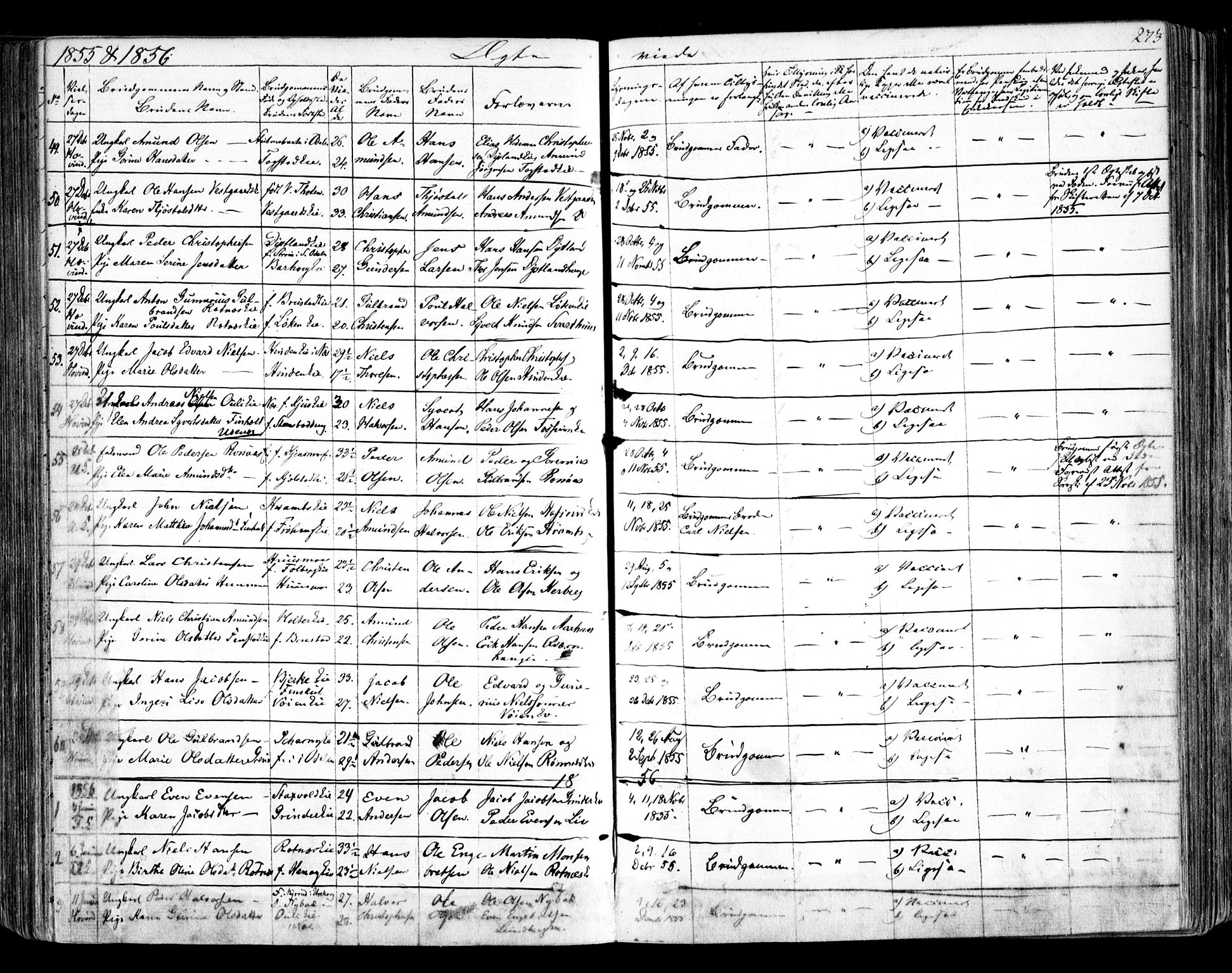 Nes prestekontor Kirkebøker, SAO/A-10410/F/Fa/L0007: Parish register (official) no. I 7, 1846-1858, p. 273