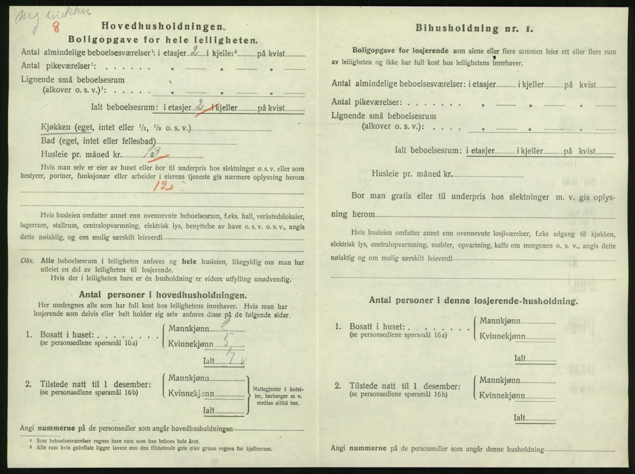 SAT, 1920 census for Steinkjer, 1920, p. 2219