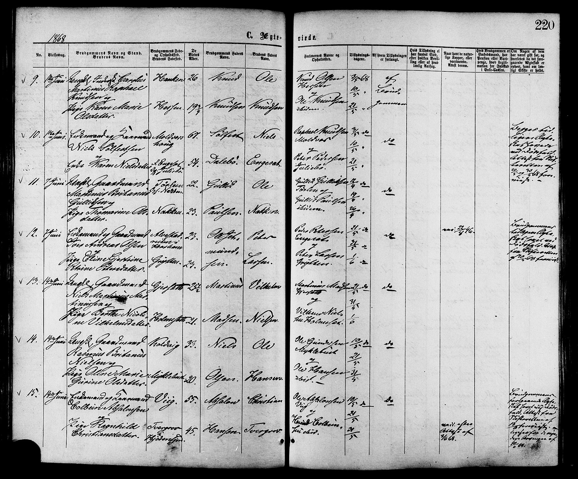 Ministerialprotokoller, klokkerbøker og fødselsregistre - Møre og Romsdal, SAT/A-1454/528/L0399: Parish register (official) no. 528A10, 1864-1879, p. 220