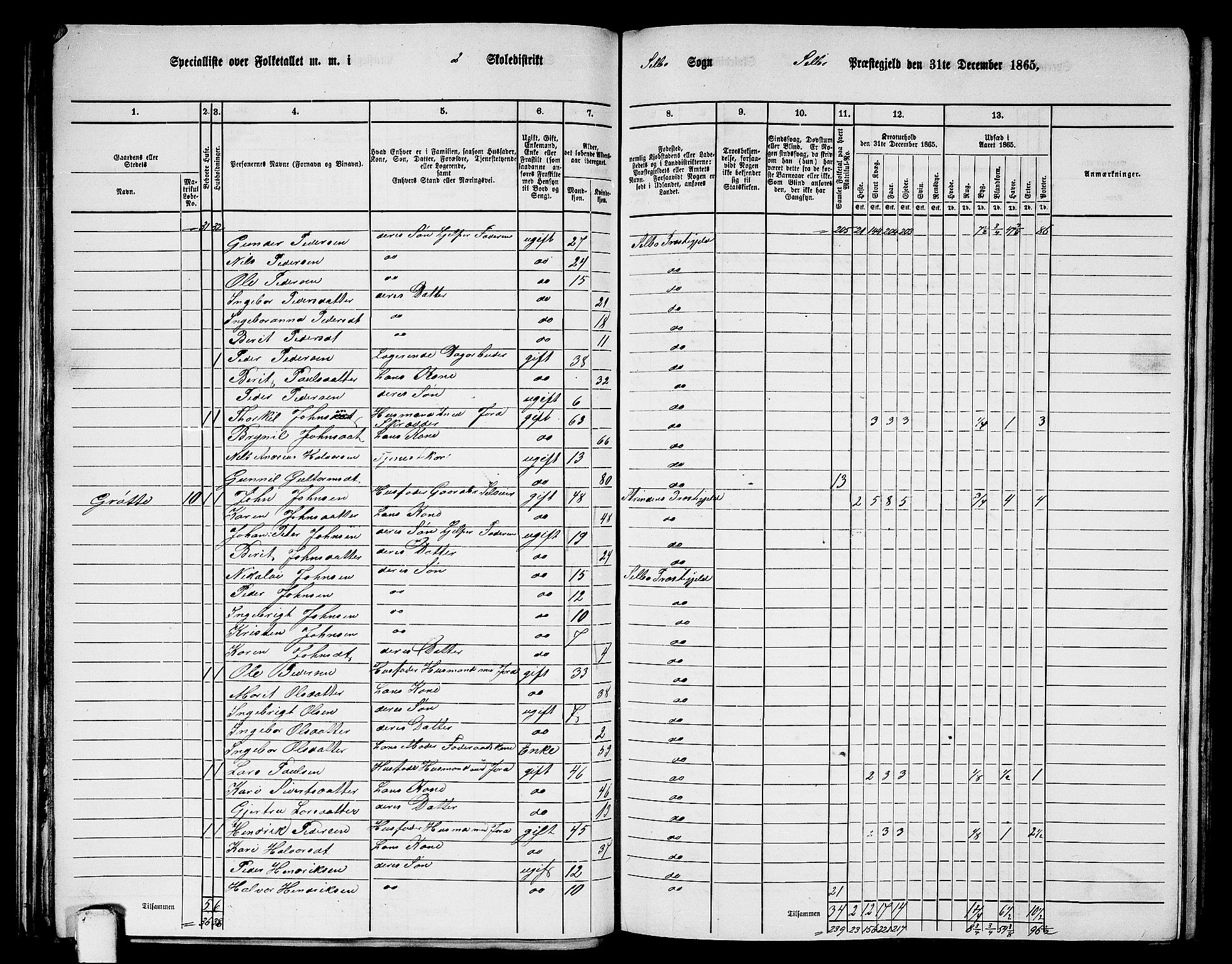 RA, 1865 census for Selbu, 1865, p. 24