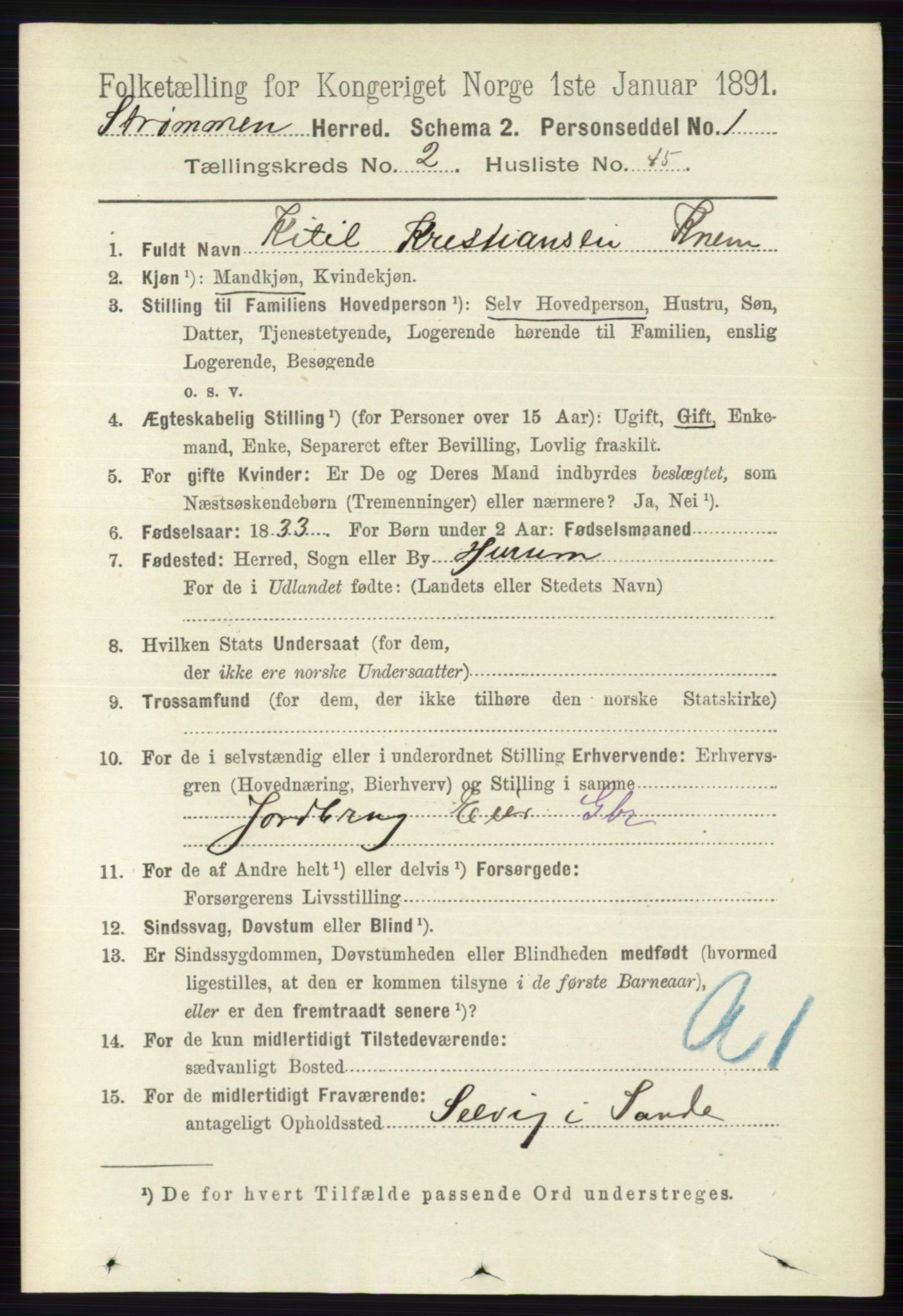 RA, 1891 census for 0711 Strømm, 1891, p. 961