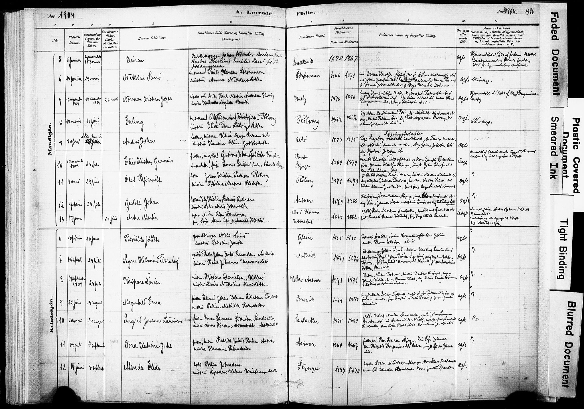 Ministerialprotokoller, klokkerbøker og fødselsregistre - Nordland, AV/SAT-A-1459/835/L0525: Parish register (official) no. 835A03I, 1881-1910, p. 85