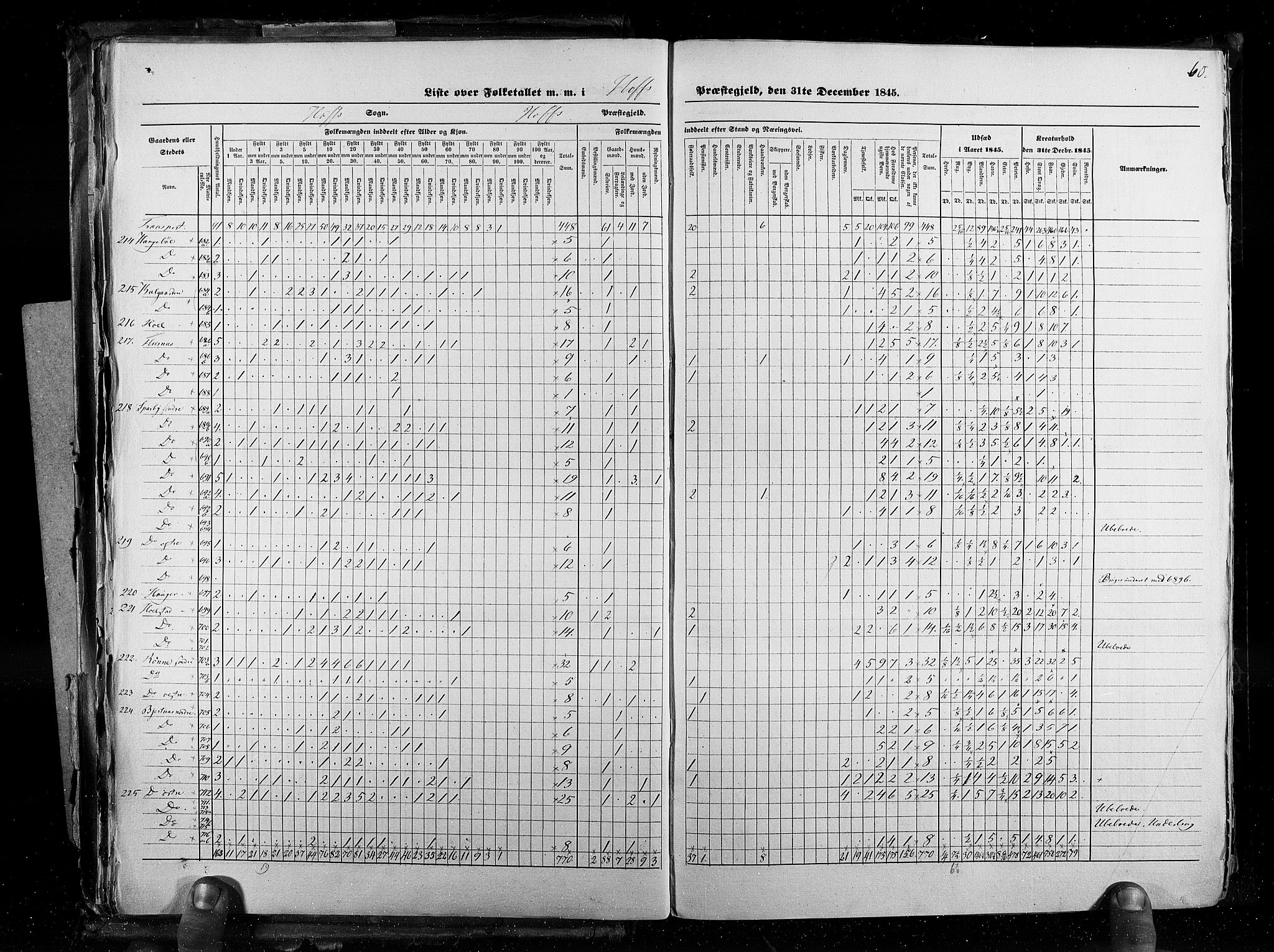RA, Census 1845, vol. 3: Hedemarken amt og Kristians amt, 1845, p. 60